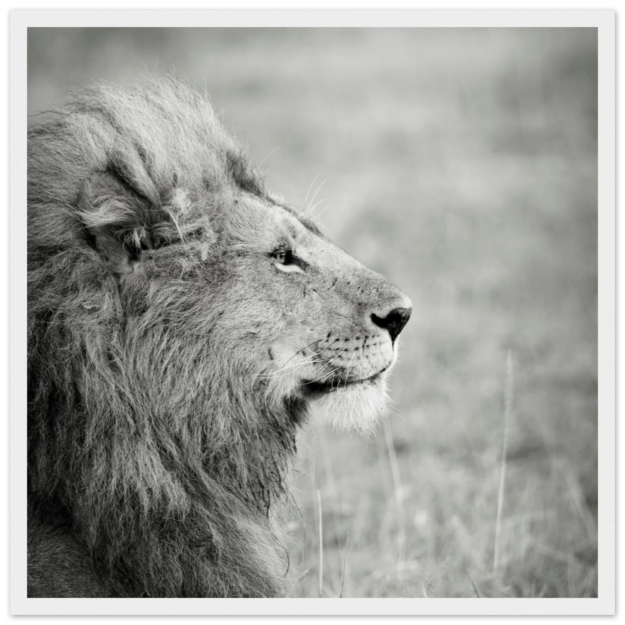 dbcdb6aa-3662-41c5-8f82-c0051f81fad2