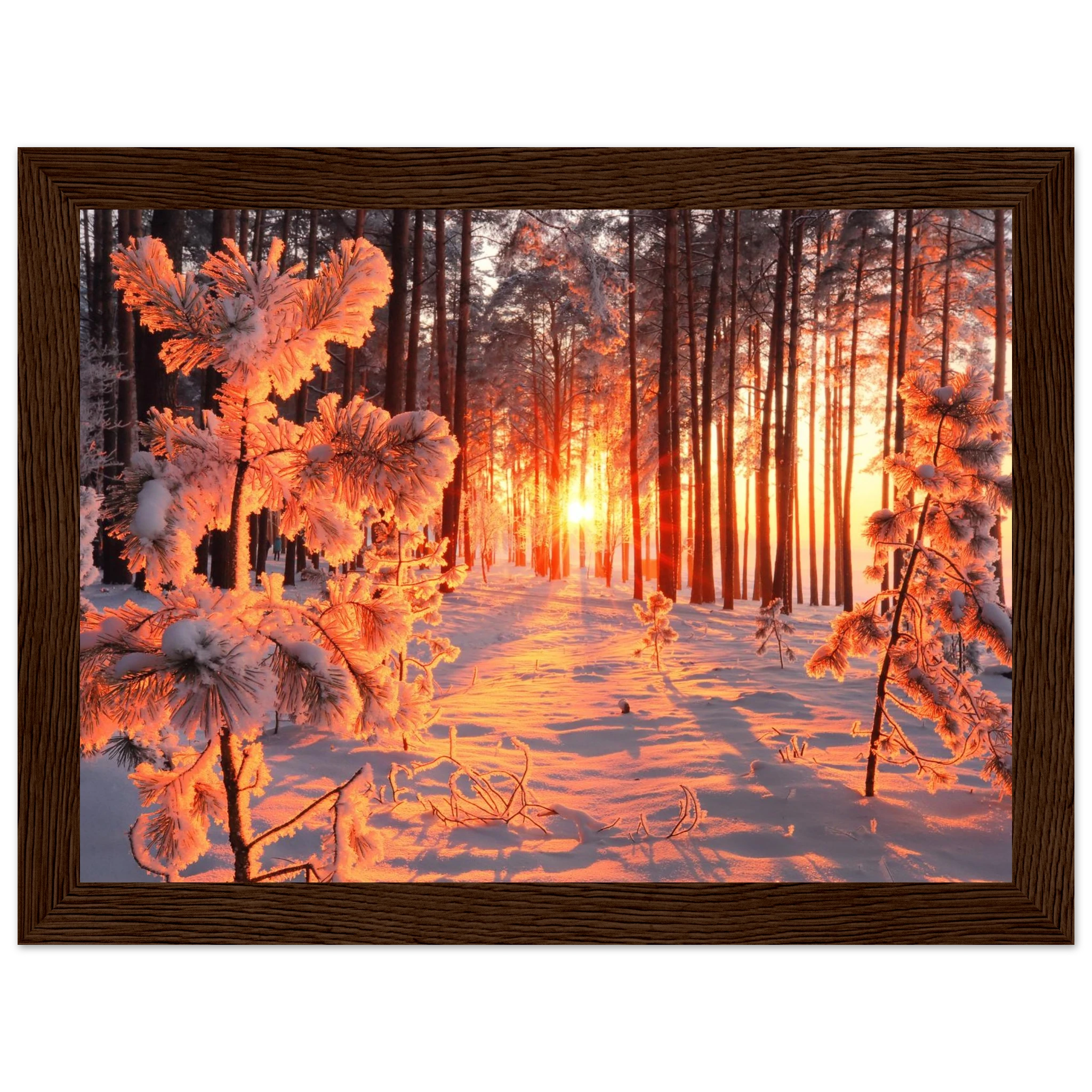 dbcf524f-707a-4f4e-bc81-04e5e8b5aa90