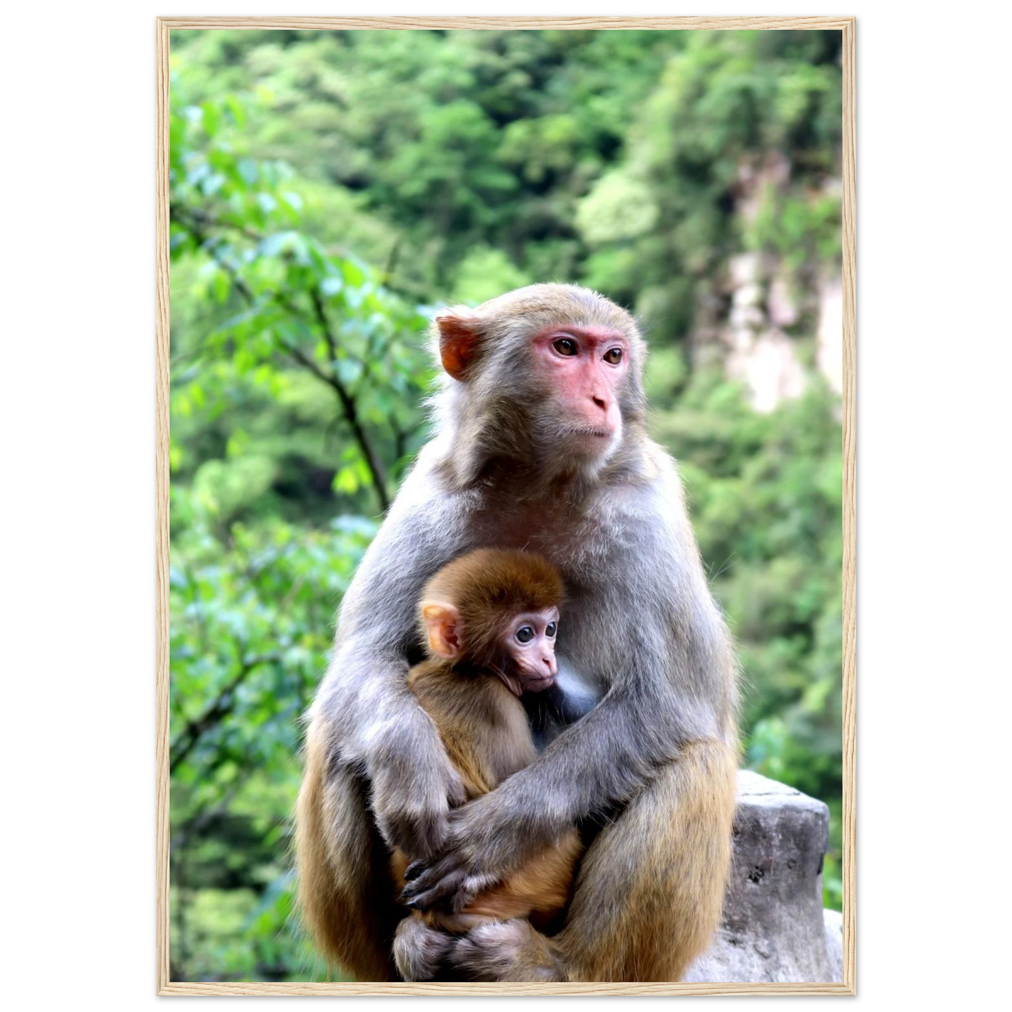 dbdda75a-ad3e-4d88-a1d5-758dff2d6898