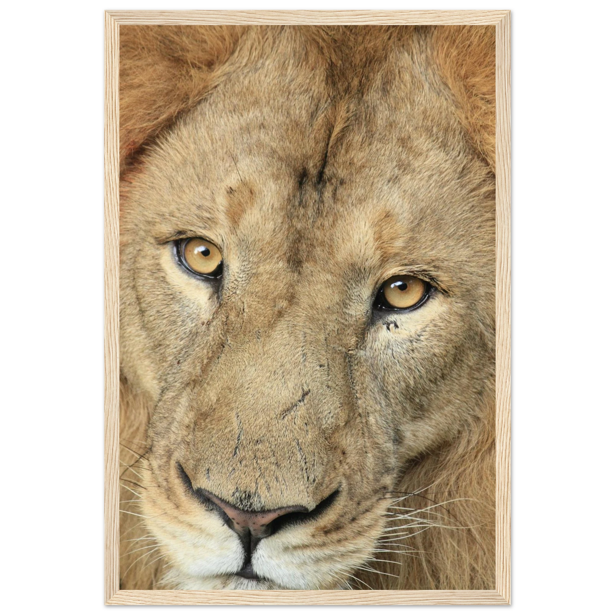 dbe3addd-ef6c-4743-811e-47ae32427e92