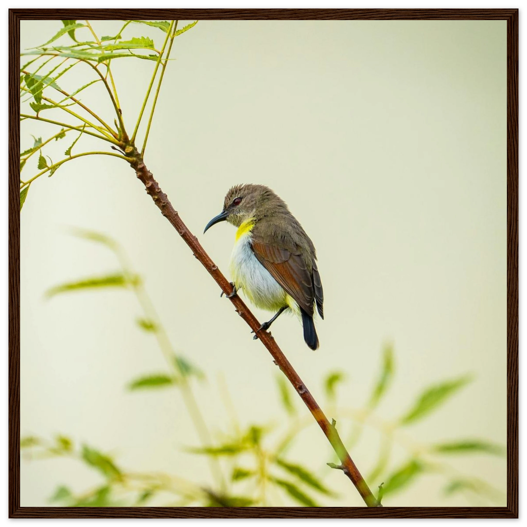 dbe4ab43-1d2b-4dc4-bef2-56666f7eae57