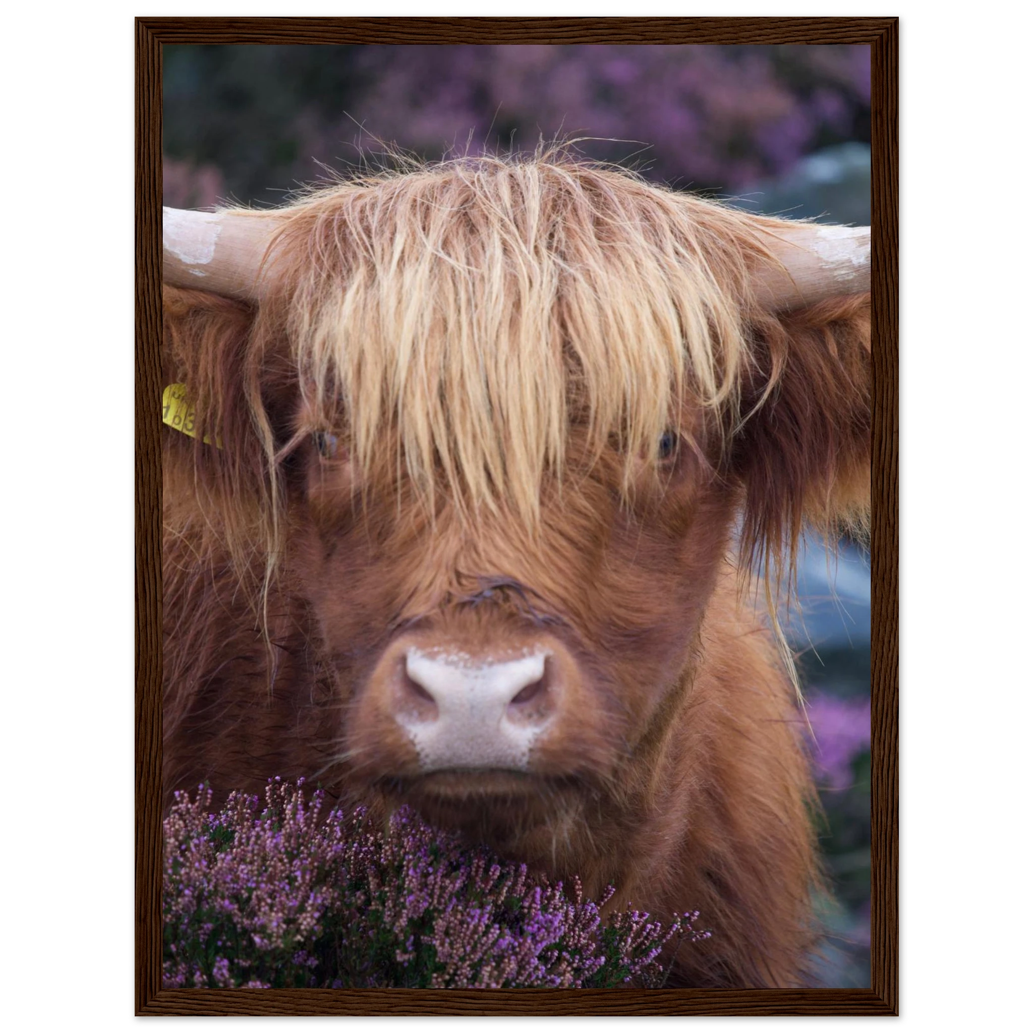 dbeb6022-76ac-426e-a8f1-fff4482d0747