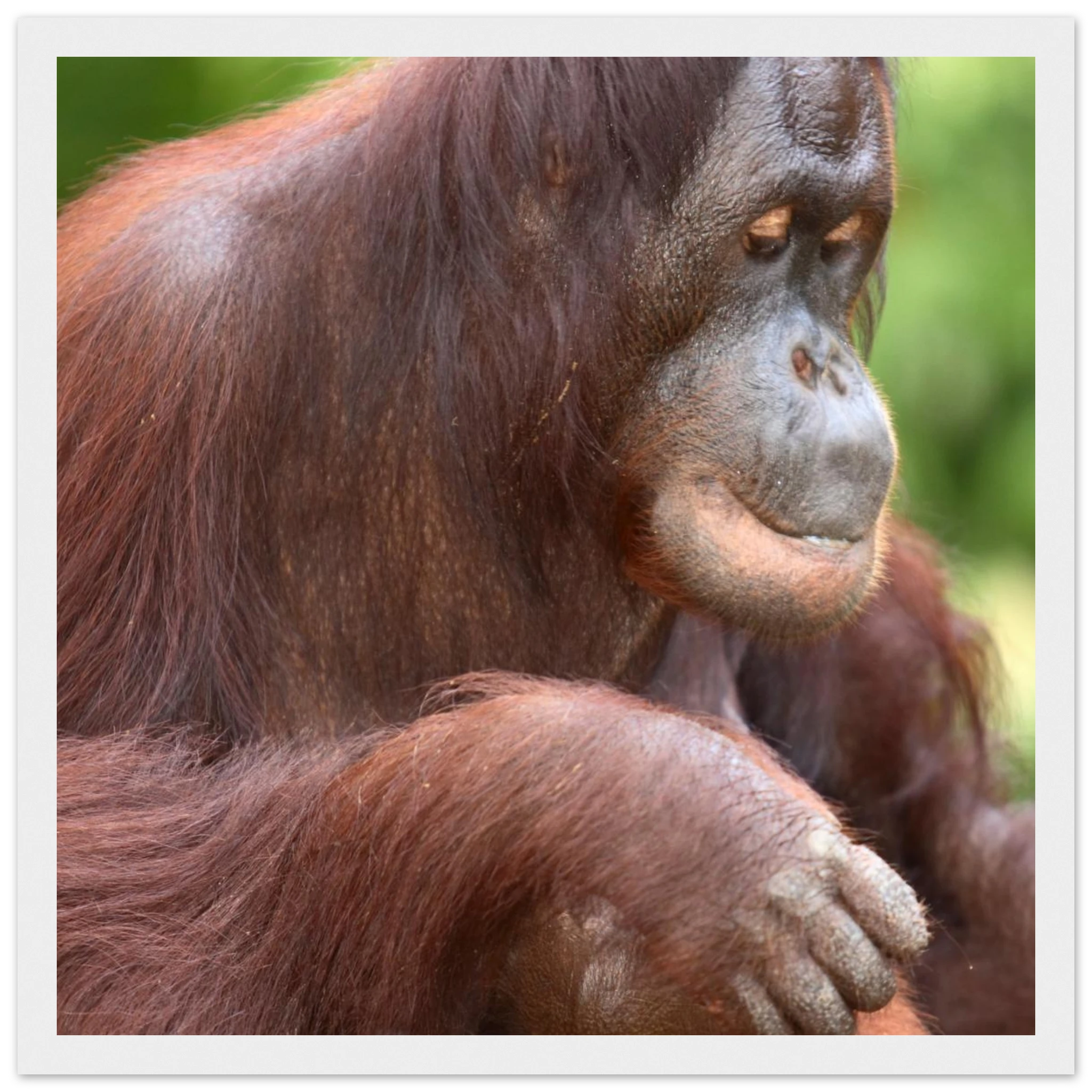 dbec66ef-cec7-4b96-9e1c-c2e8f2554730