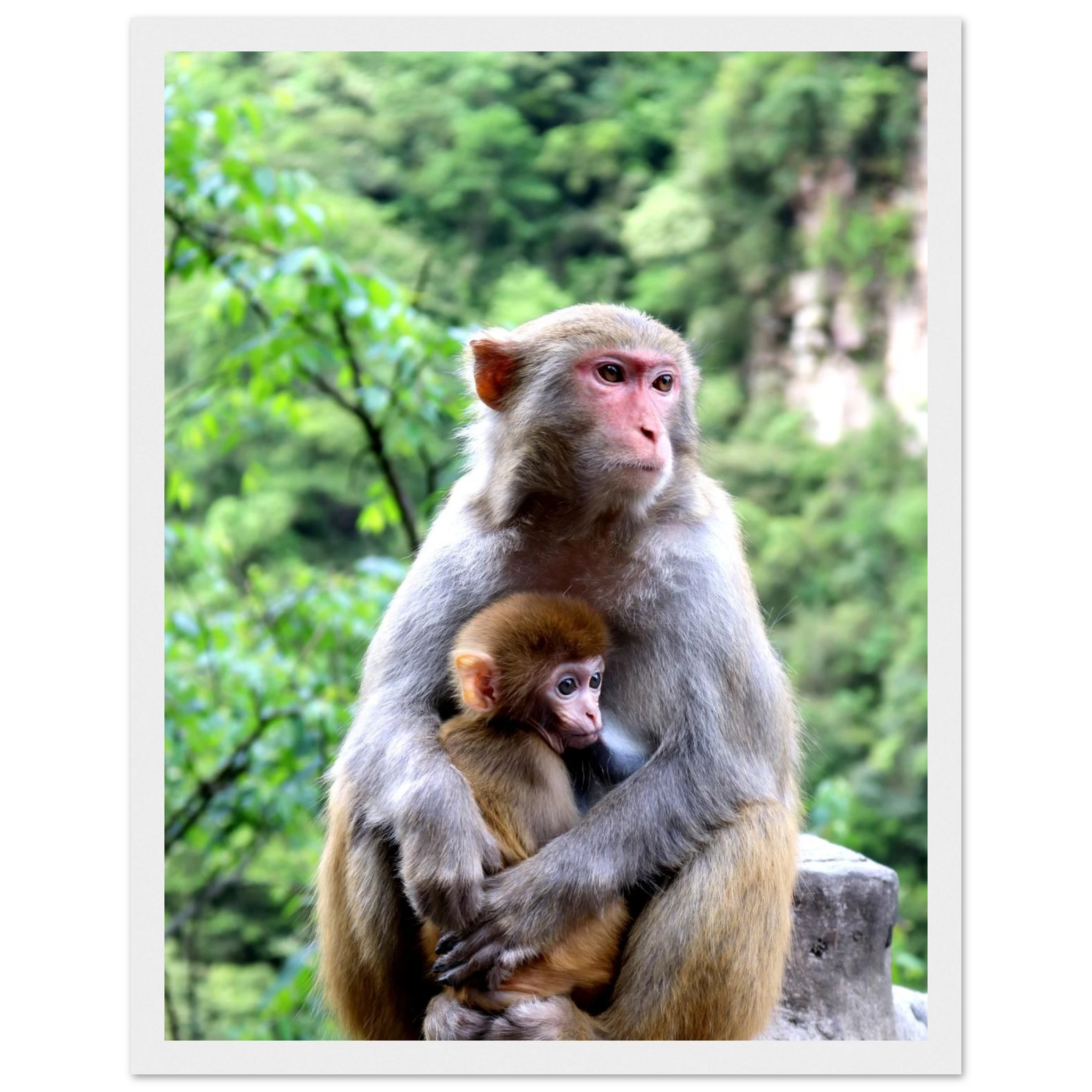 dbf40fc2-fe91-49a8-87a8-784ea5c1d823