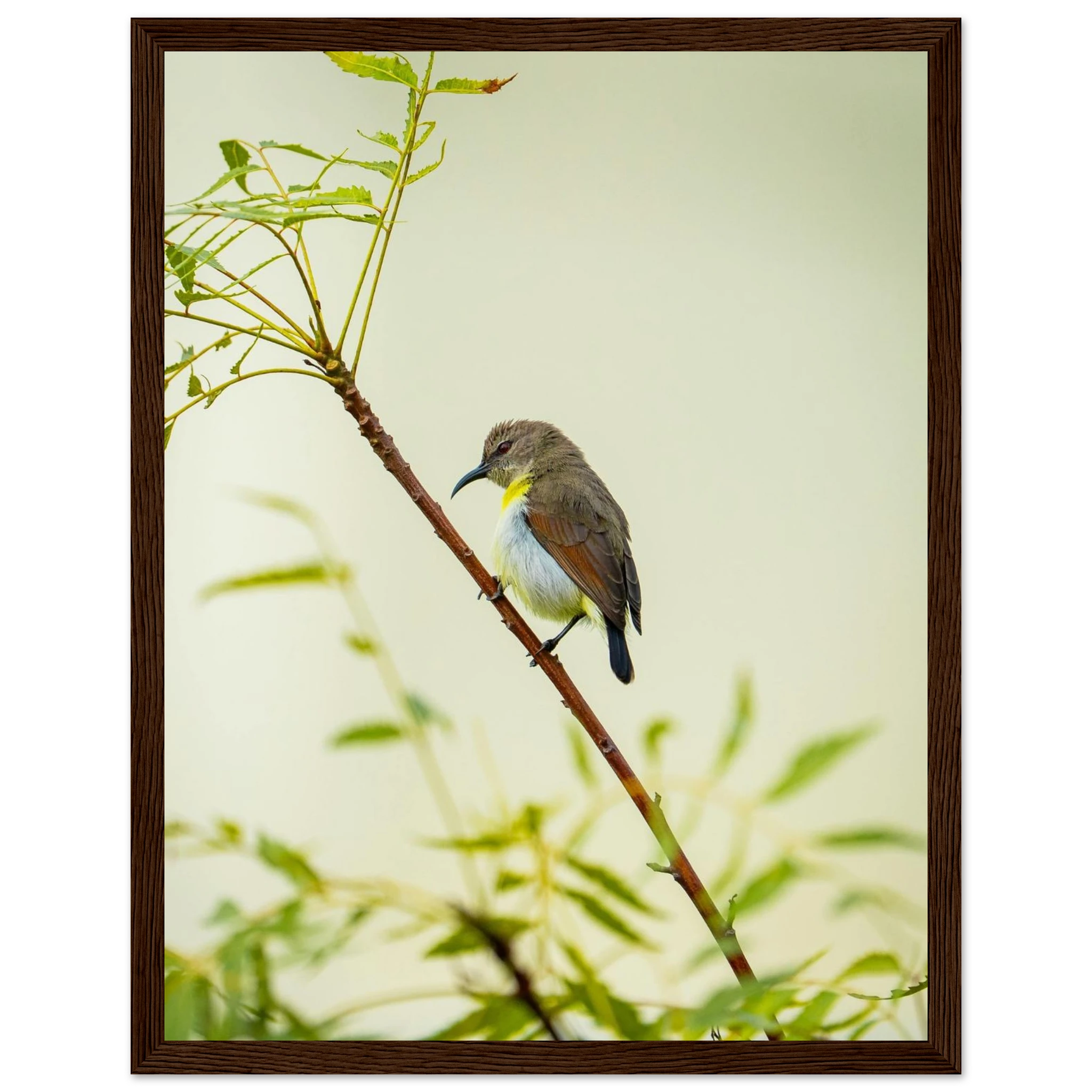 dc062f96-0537-4d93-b9fa-0118c61939b1