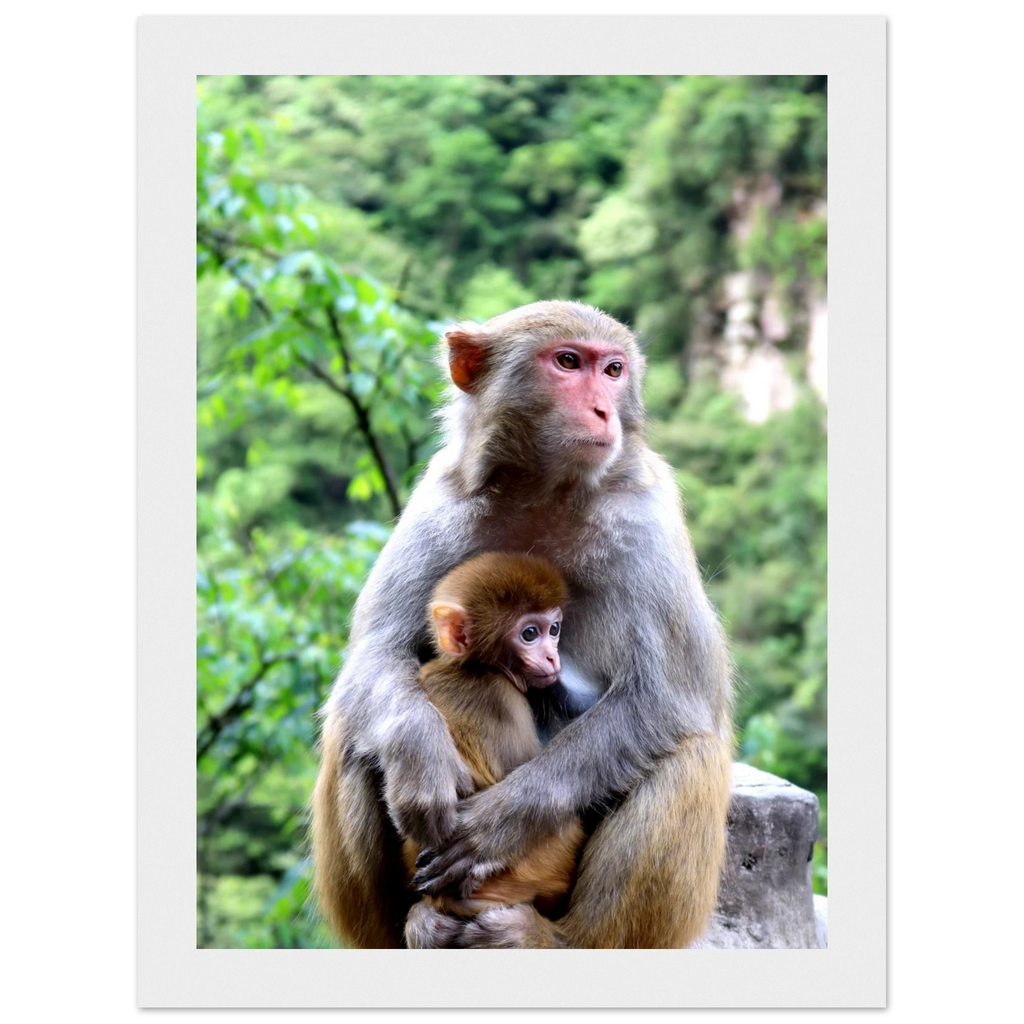 dc0786f3-1d0b-4a80-b8f2-c3b29c964376