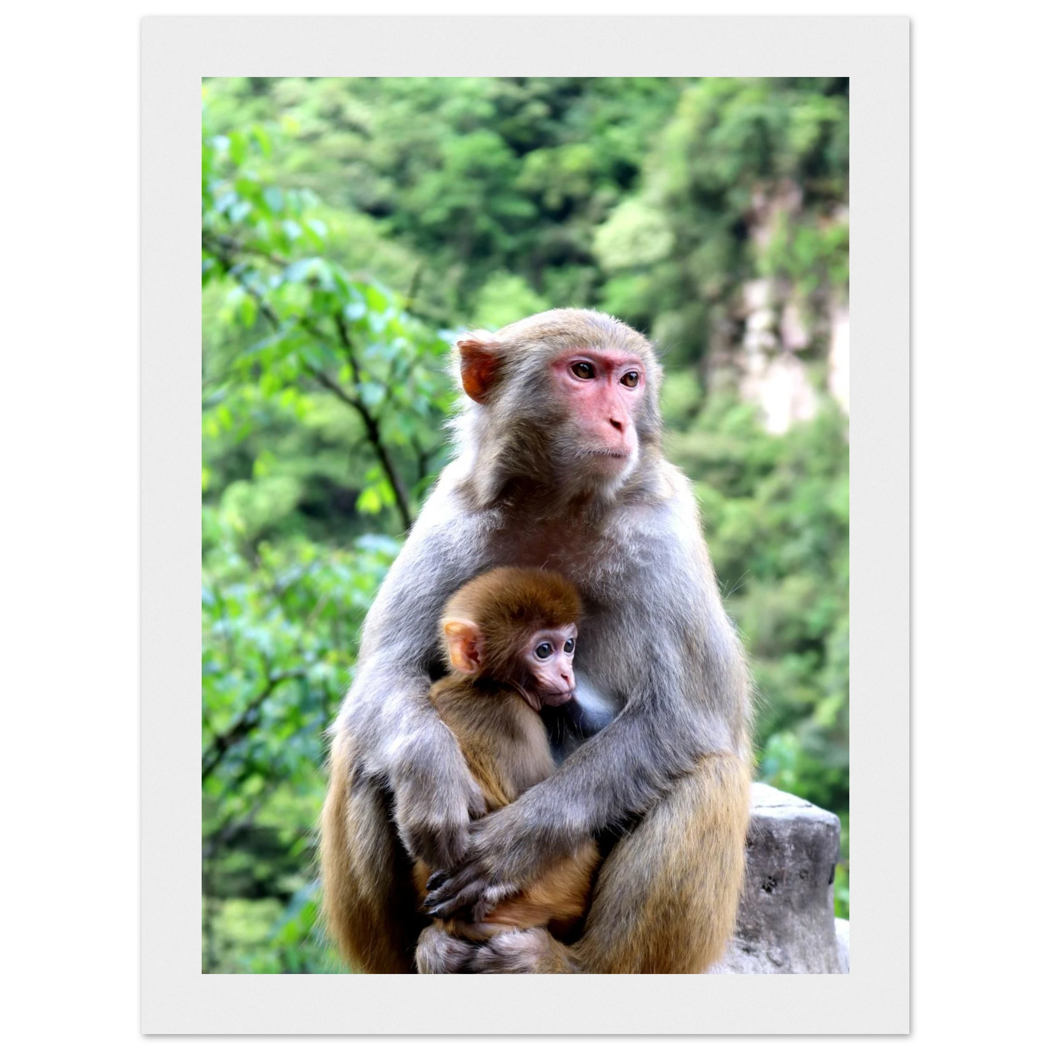 dc0786f3-1d0b-4a80-b8f2-c3b29c964376