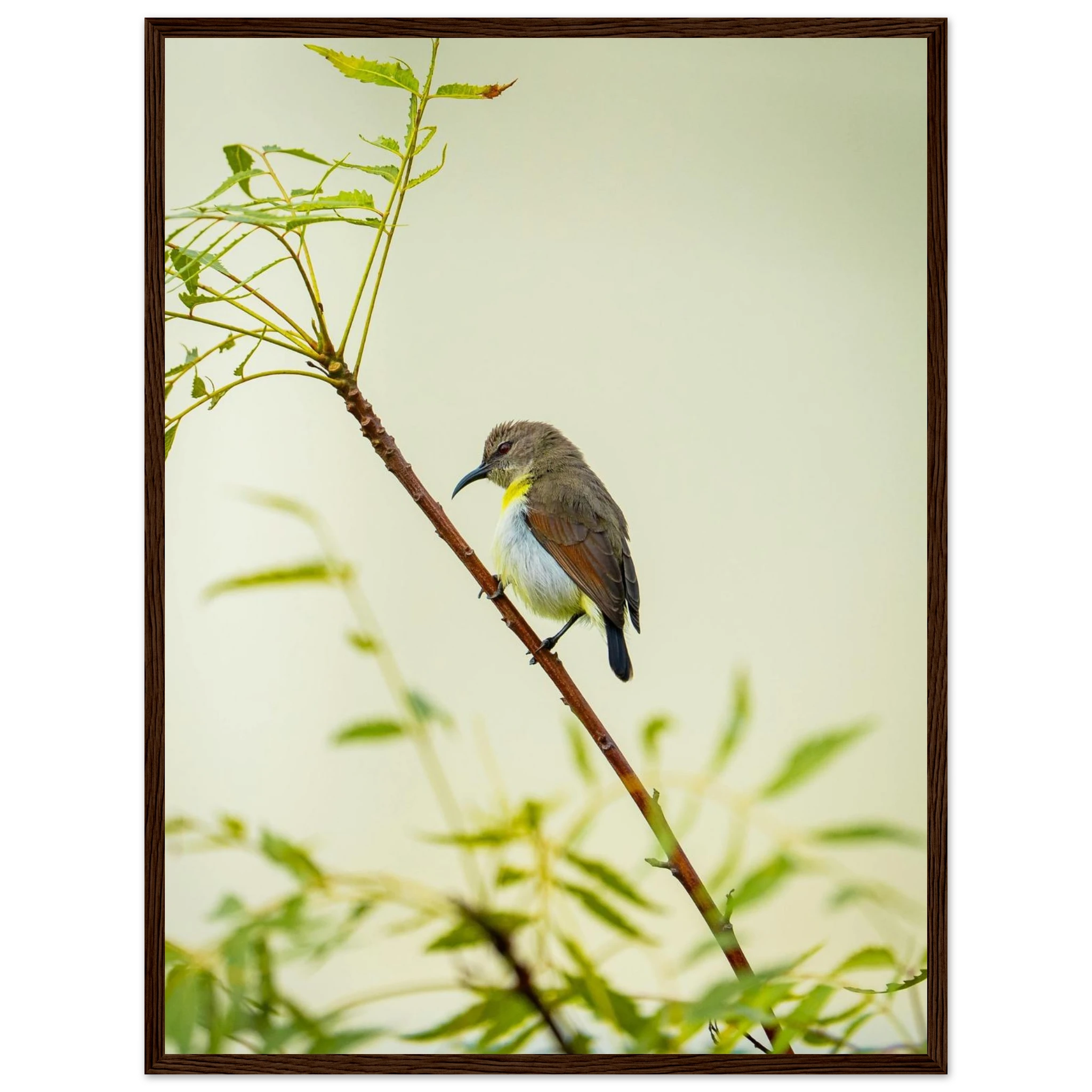 dc286d77-8ad0-4221-ba82-20d55e3b2028