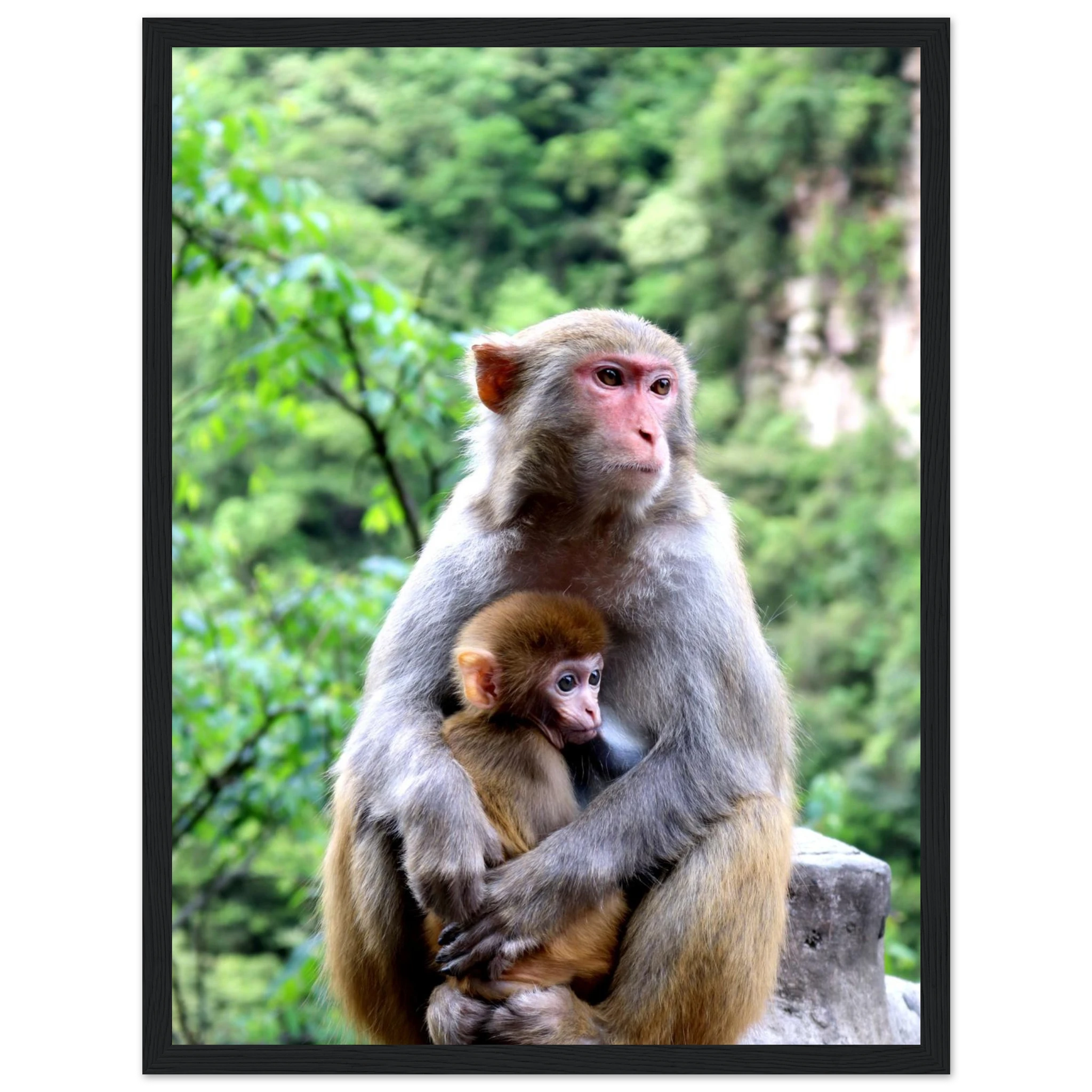 dc2d1b22-7195-4b68-9eae-1d73b309486c