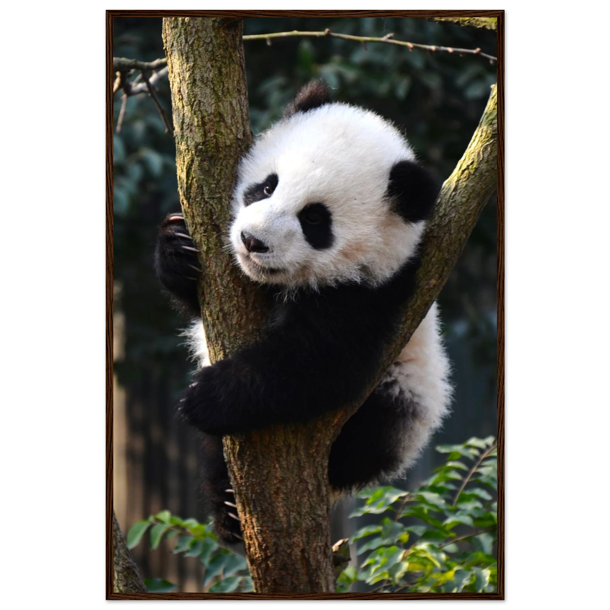 dc2e29d9-0e2a-4aff-8b9a-c86e49cc602c