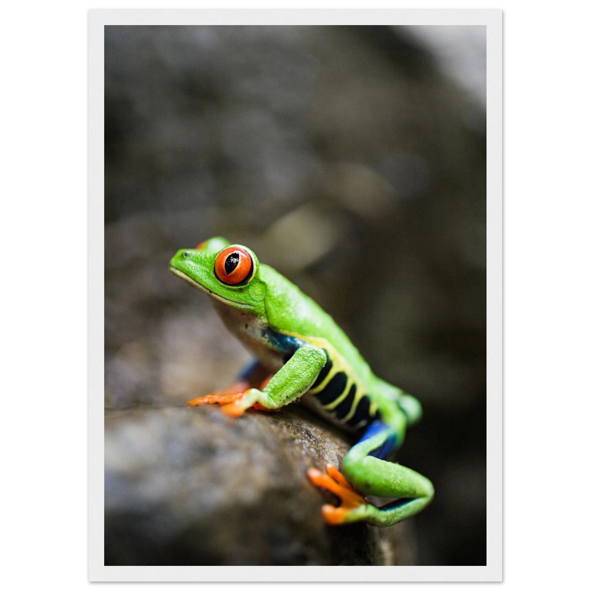 dc30d0e0-cfa2-49c1-82b4-7b82ee249947