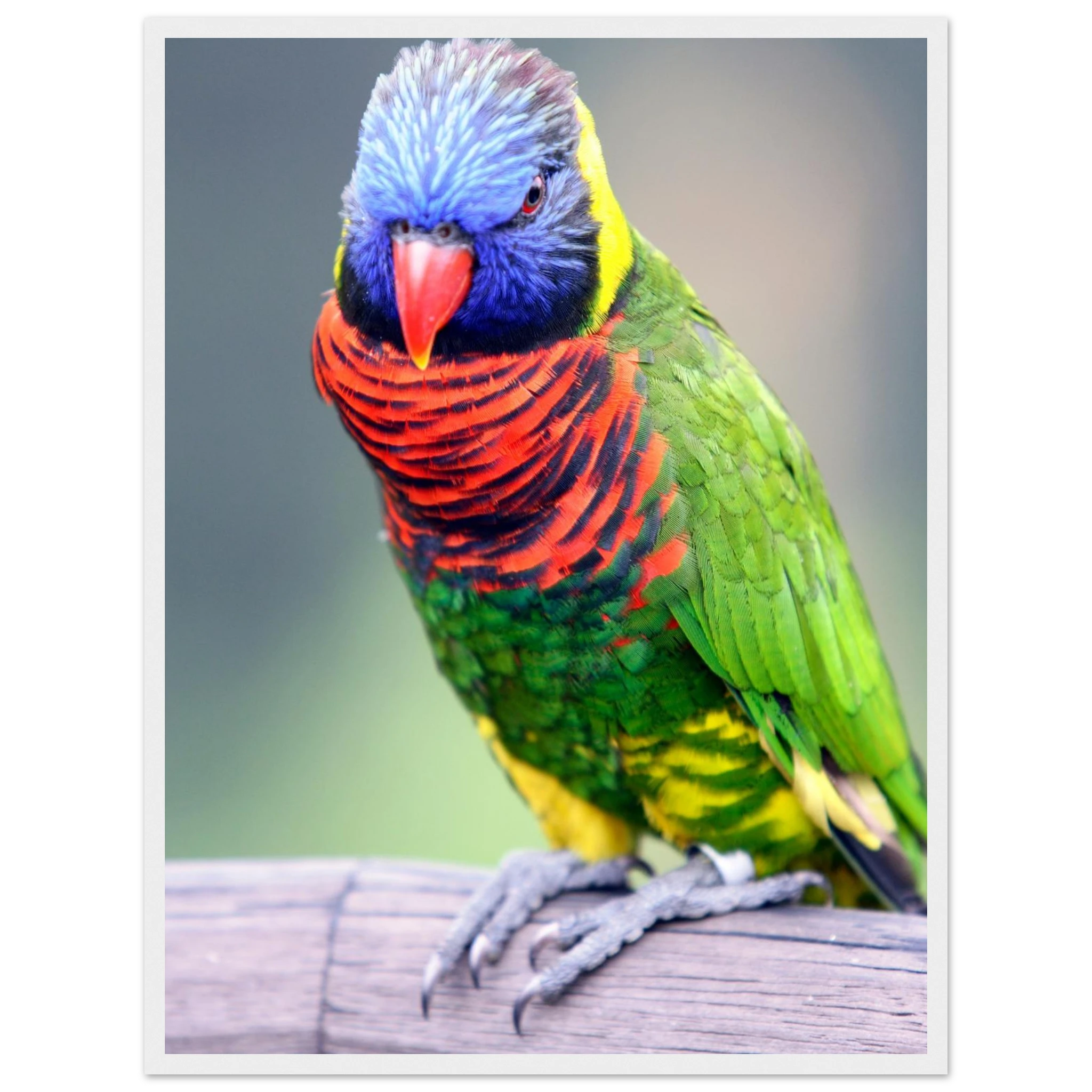 dc575e0f-6584-4ee4-b6d1-fb4f9095e1f8