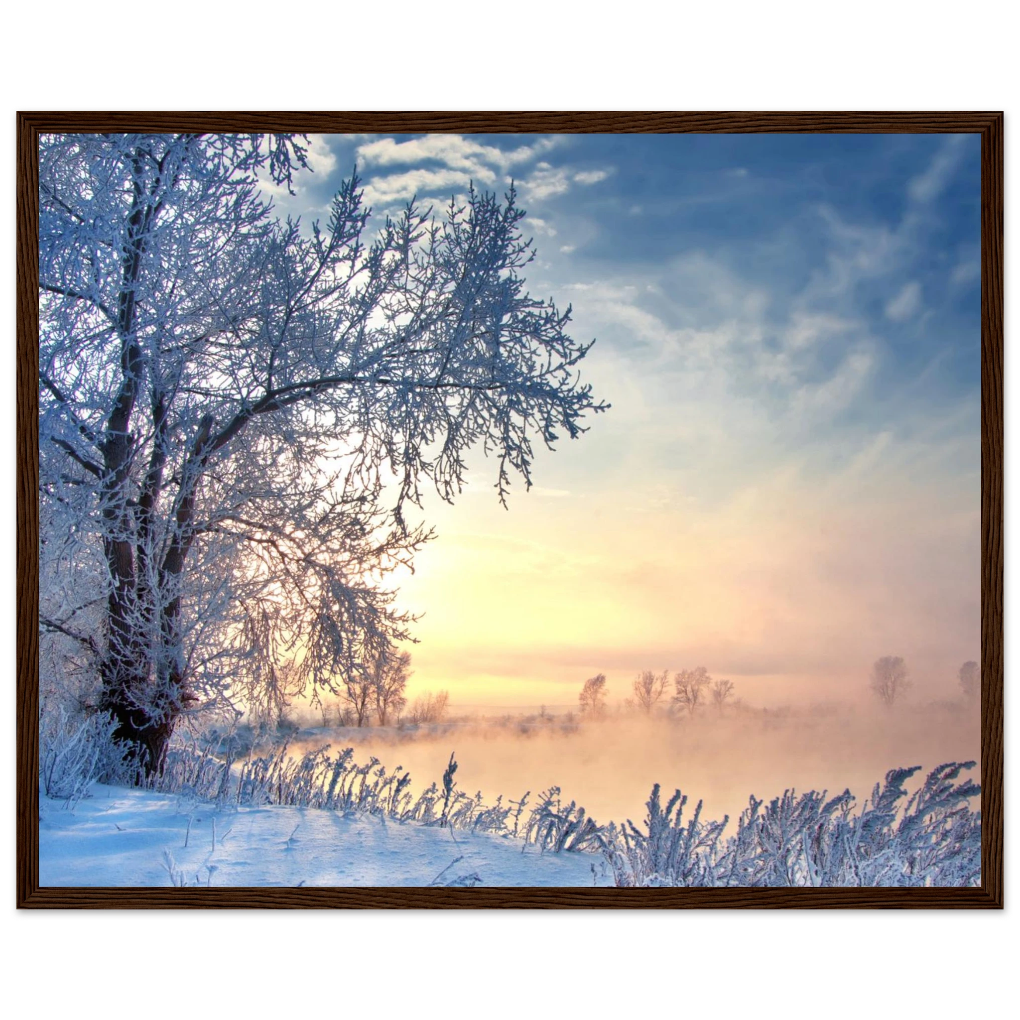 dc6f4272-d2d6-4992-9e6c-dc9c106e2eca