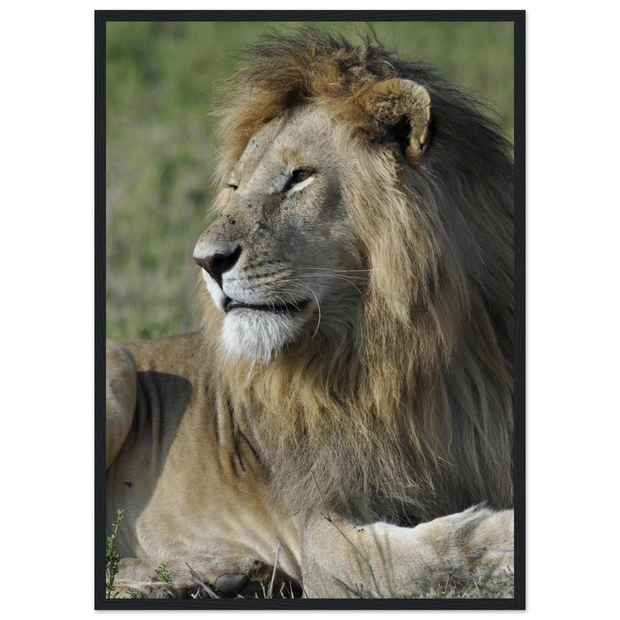 dc7840b8-b8b5-42d4-823a-770ded7e9eb6