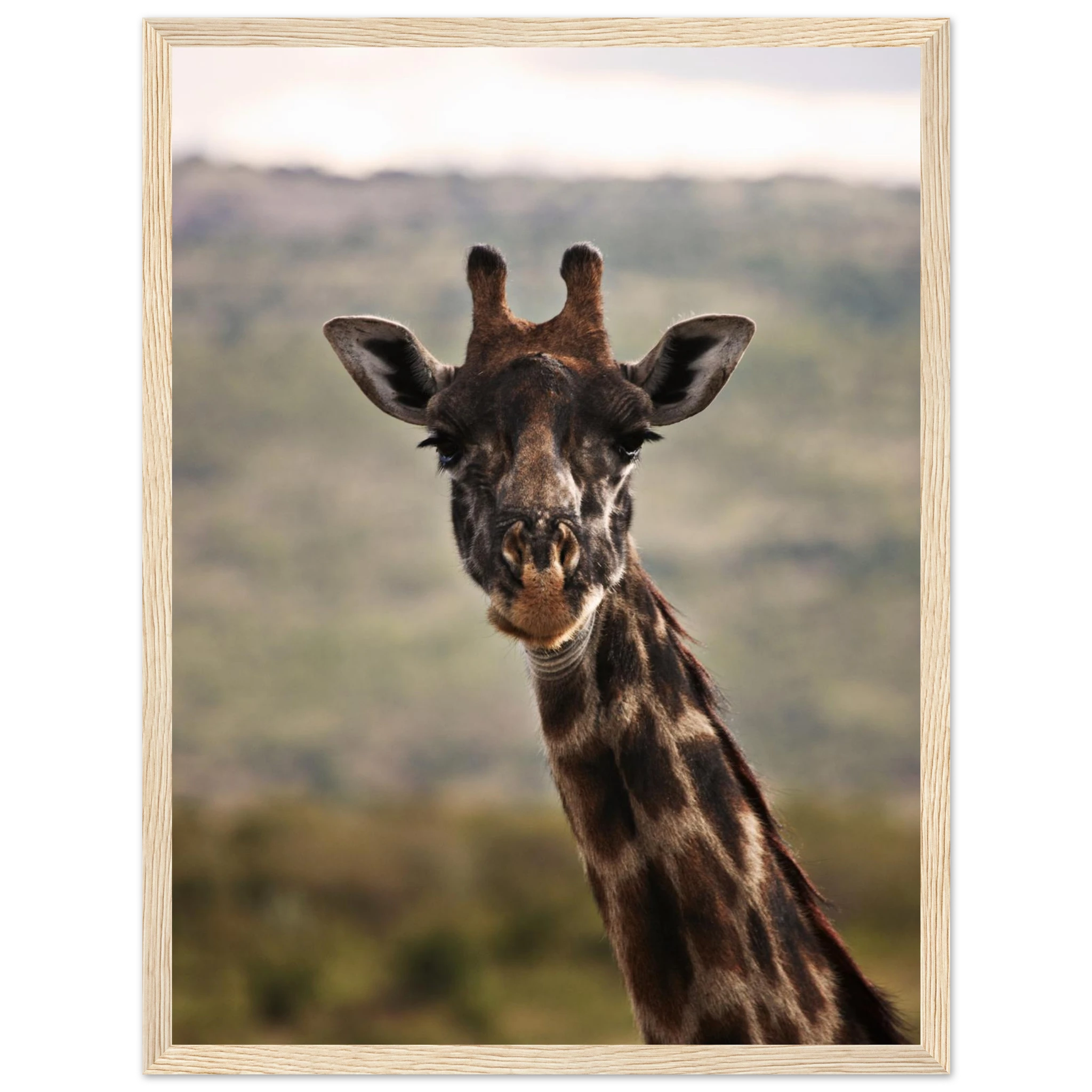 dca53584-c91d-4edf-86ae-4d9b050b6a12