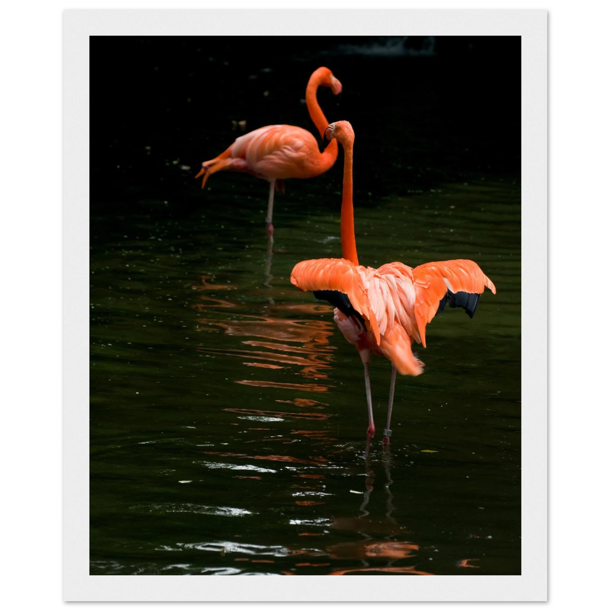 dcb824c1-1617-4723-94b2-ee3e7fcf9d02