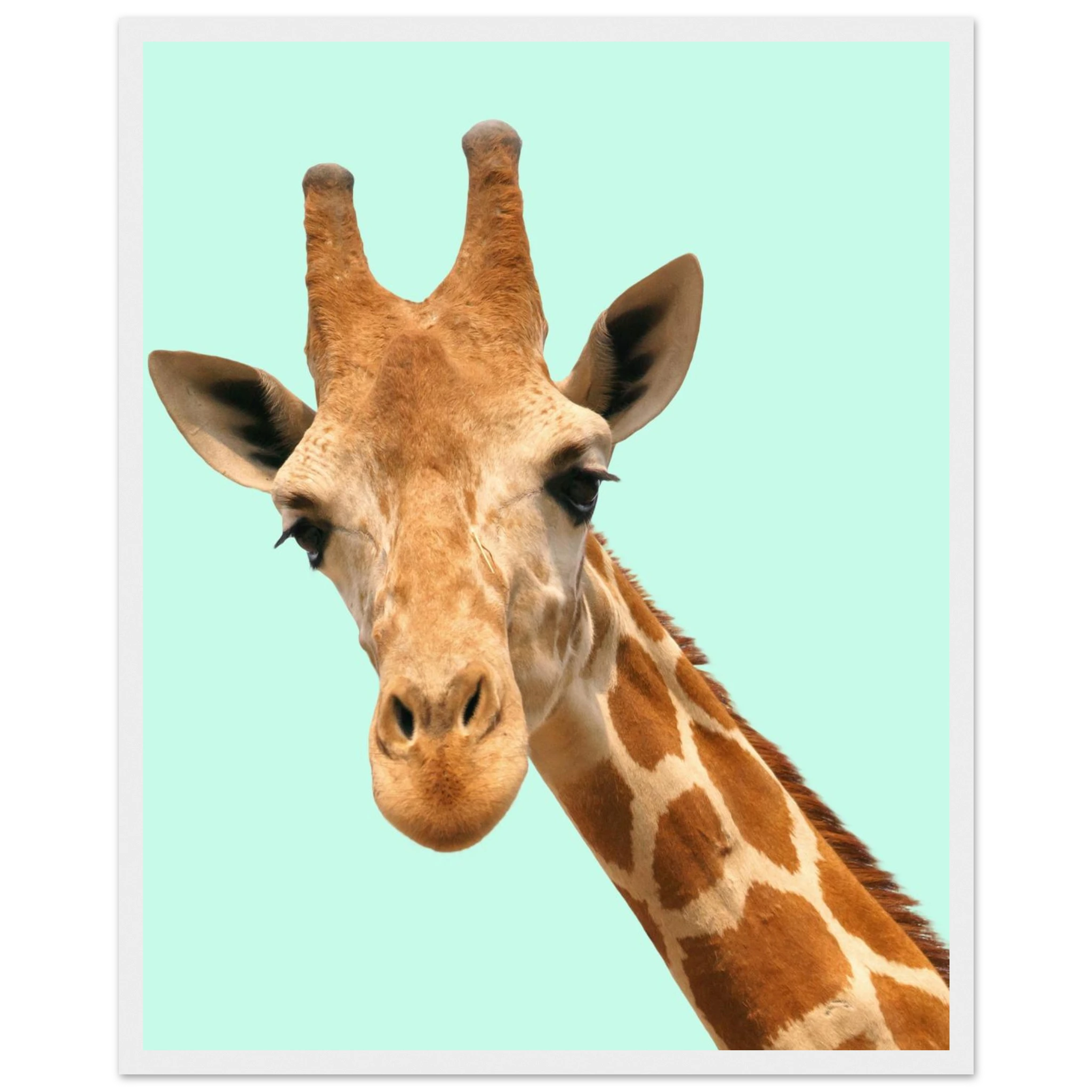 dcd942cf-0ade-4b93-b796-c5d00e9cb5ce