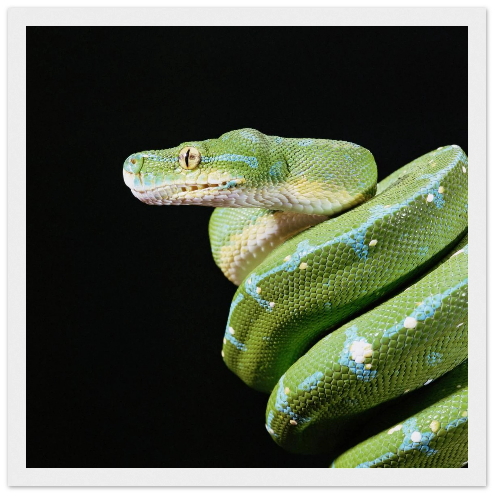 dcf9c9b8-0f8d-4160-8198-f02b67dcc746