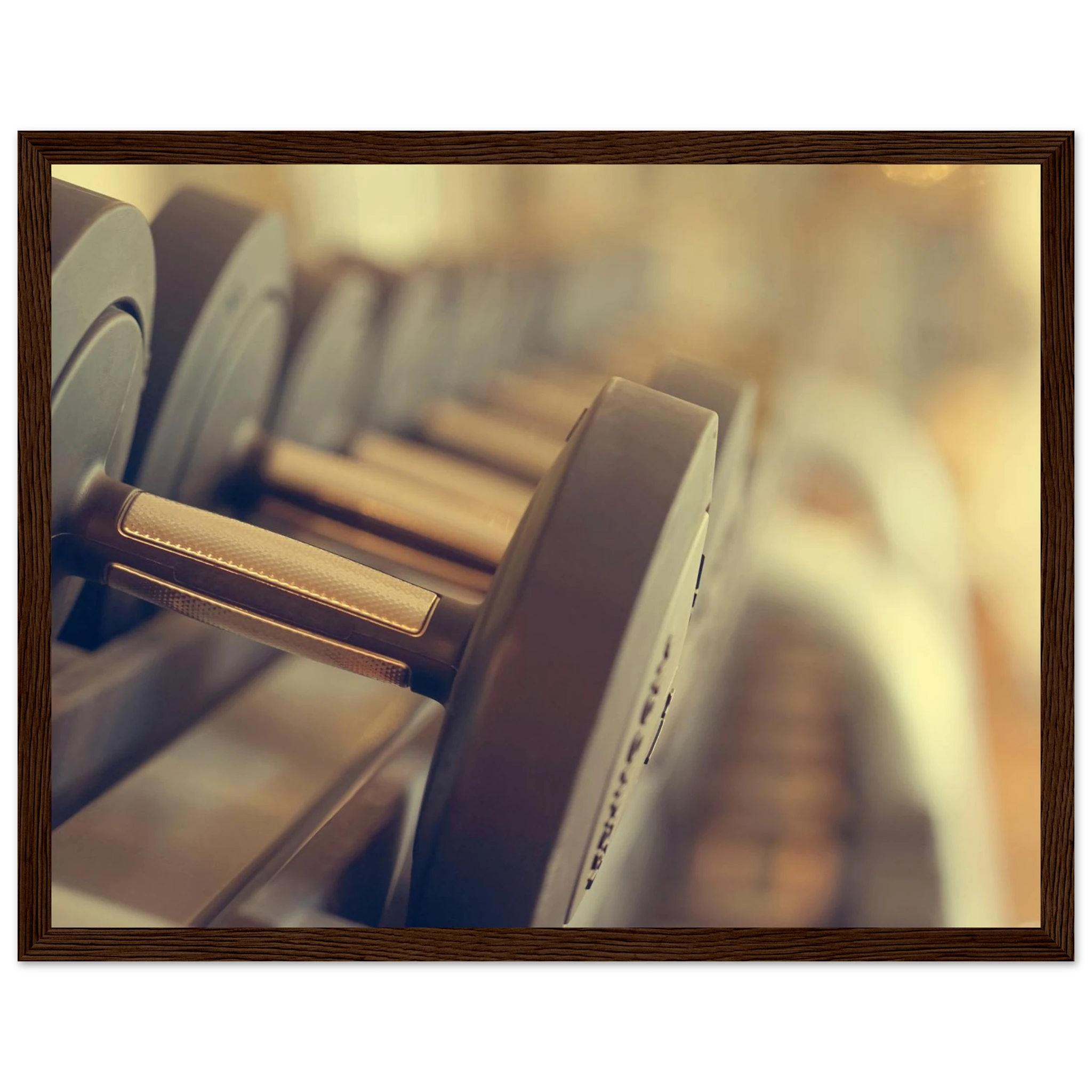 dd30f246-8631-4d9a-9ca6-e261f4f5555c