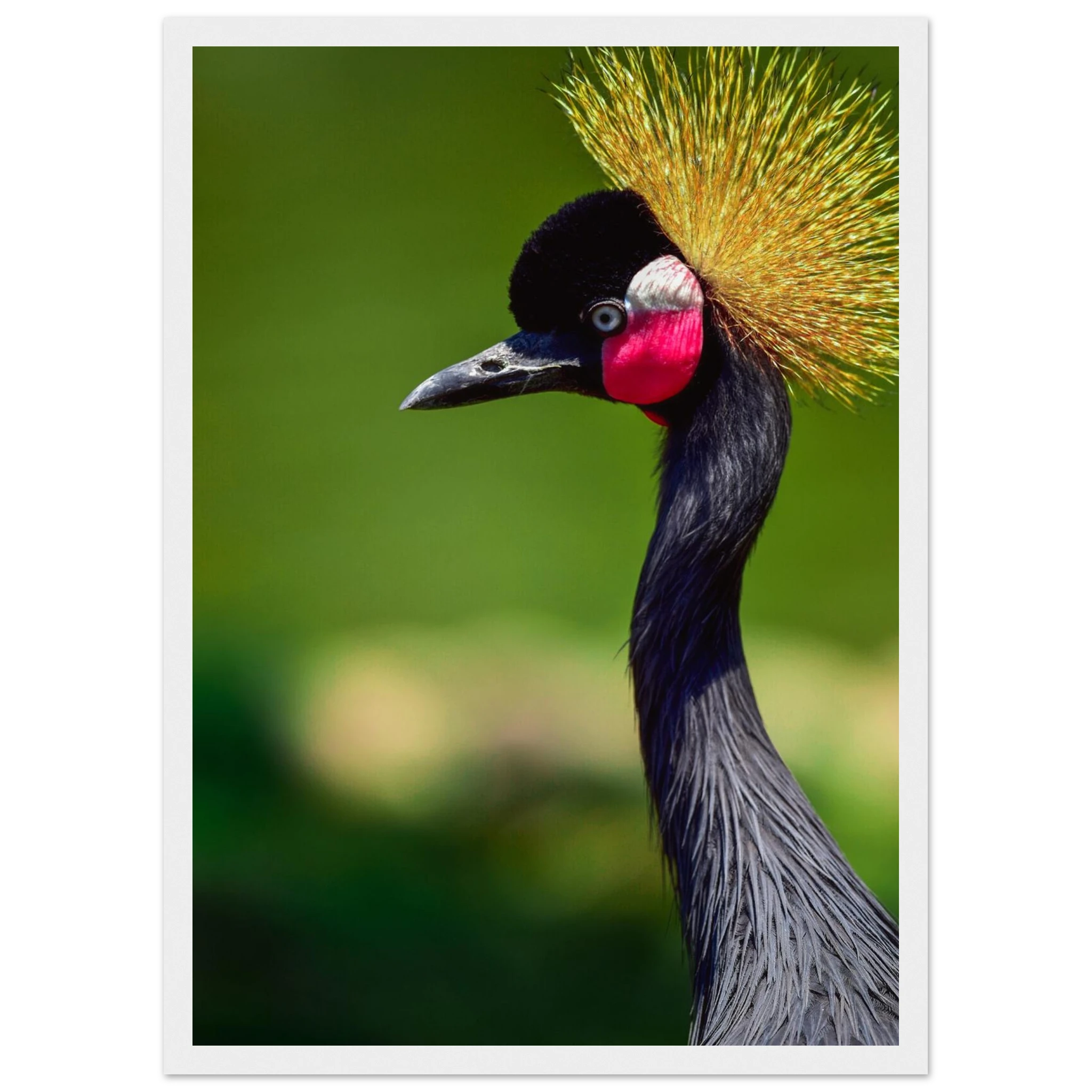 dd33718b-c973-4e0f-b2c5-3d4acdbd13c4