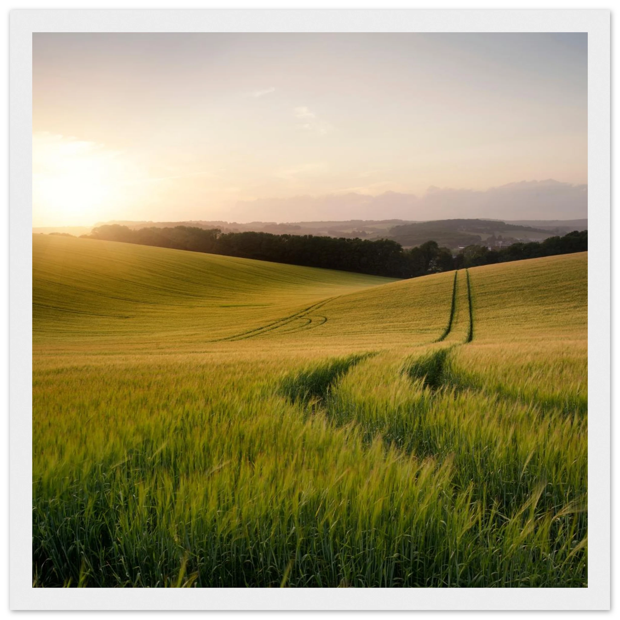 dd3ab814-6d6e-4975-b8c1-30bcb7299da1