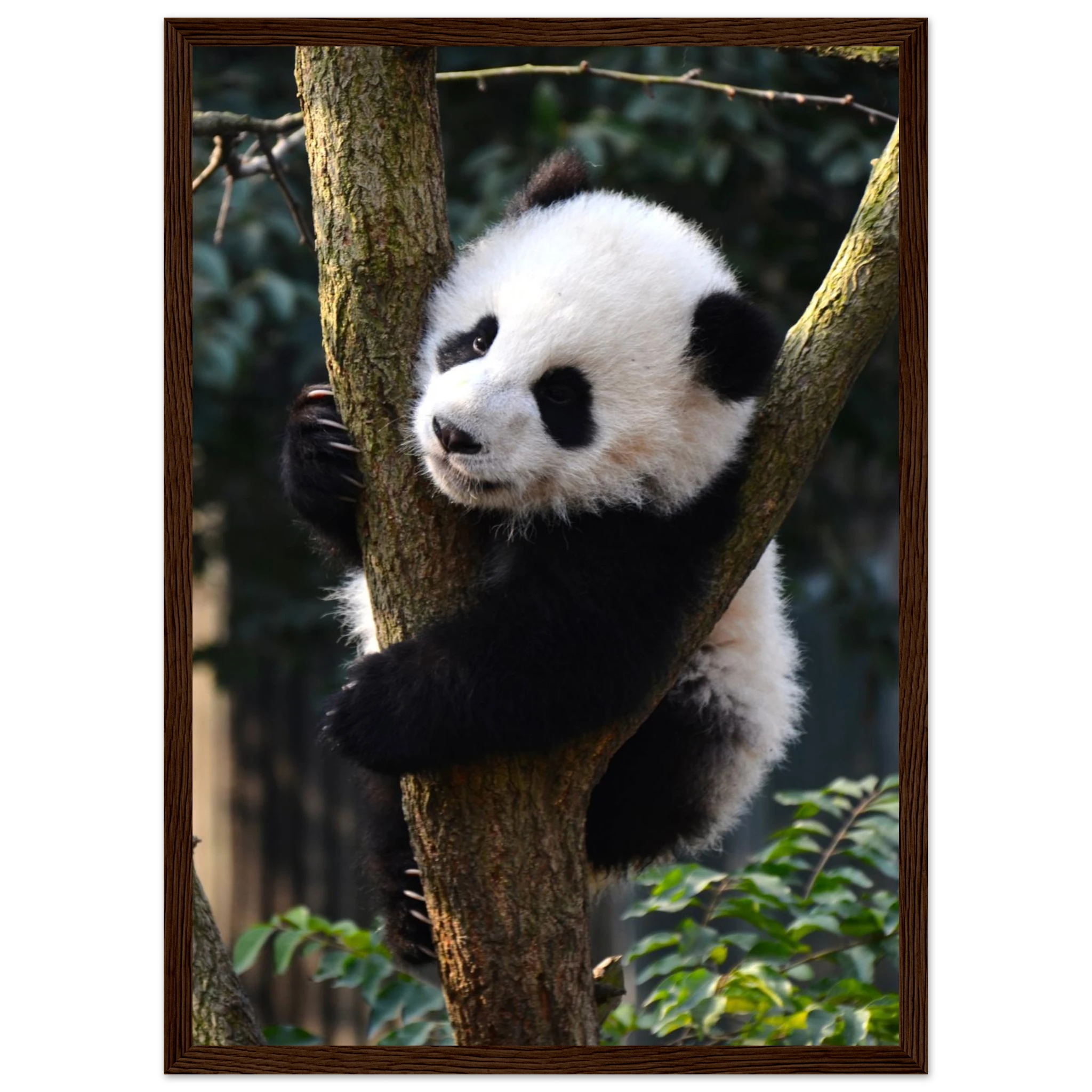 dd4e5787-2345-43ae-b788-54a43fcc3863