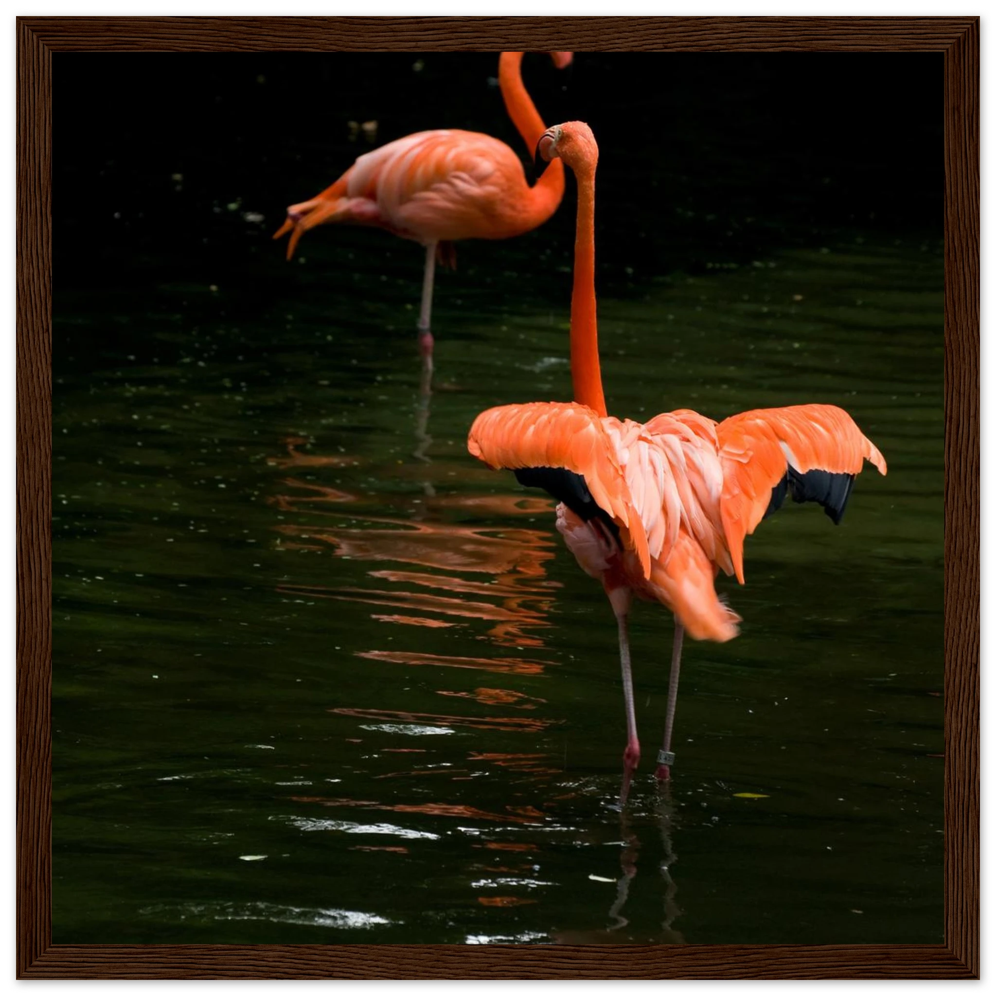 dd619bee-e011-4b8b-a8b5-892838fea226