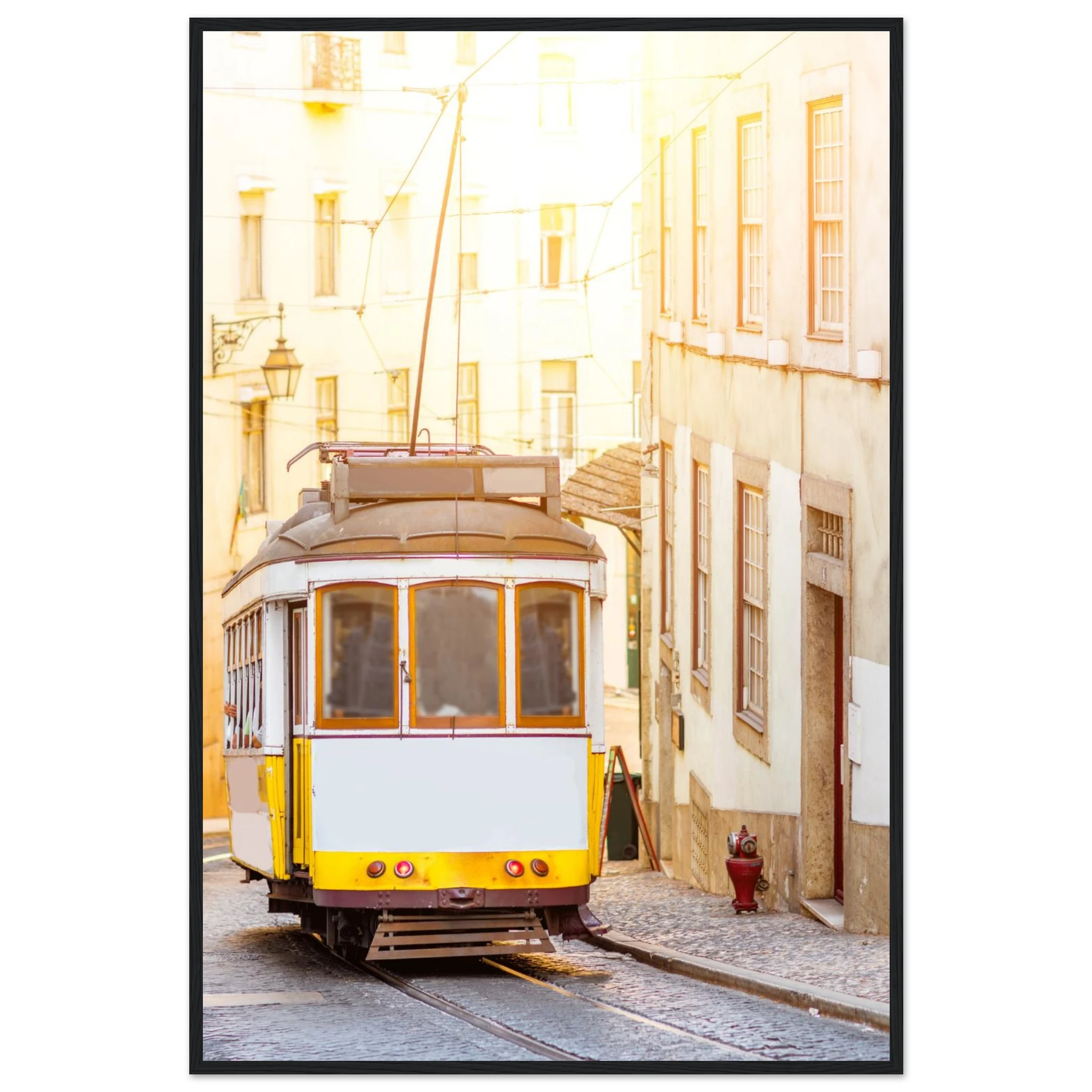 dd669a86-c097-448e-86b1-771d114602e8