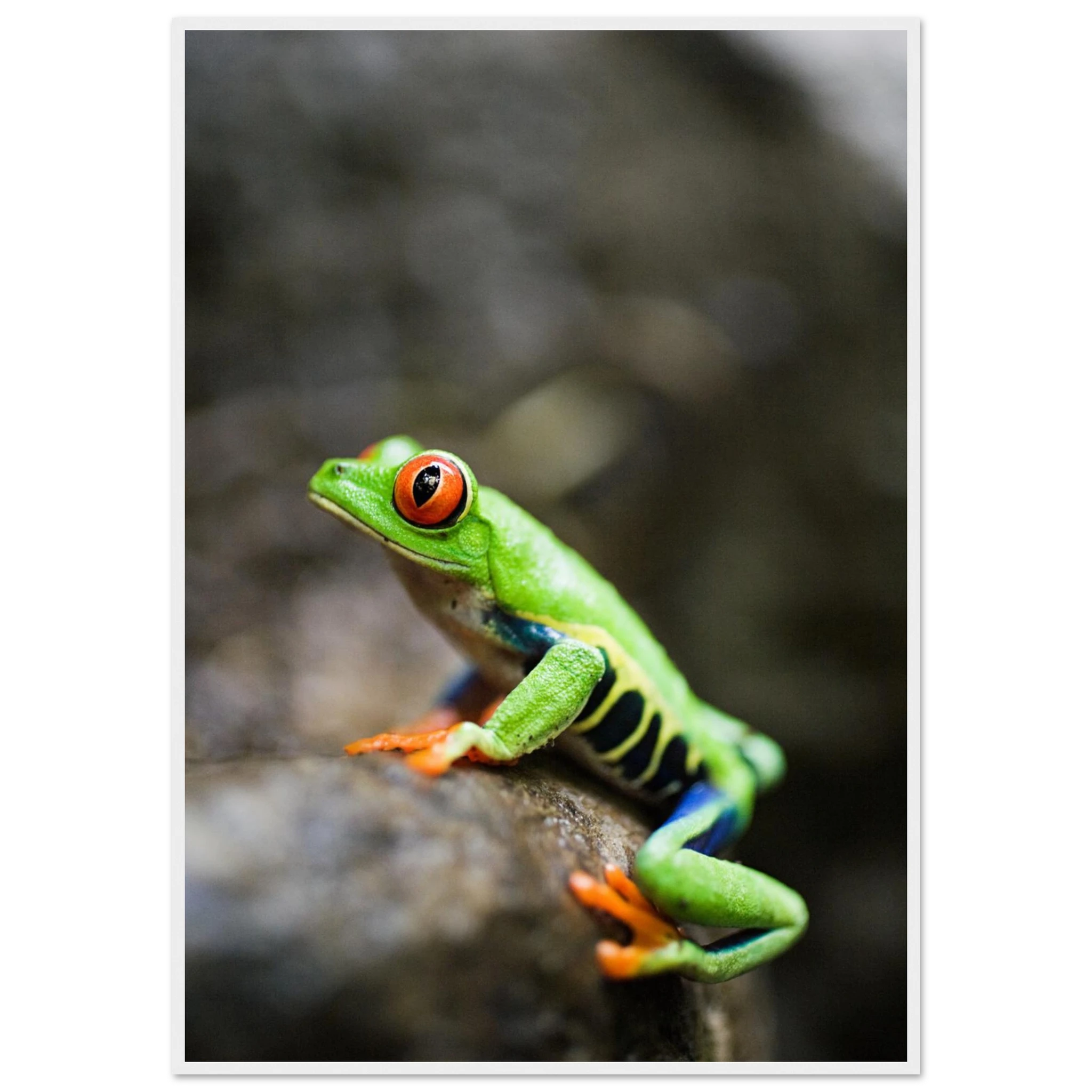 dd8f1dbc-34ac-4043-80e6-53388d30264e