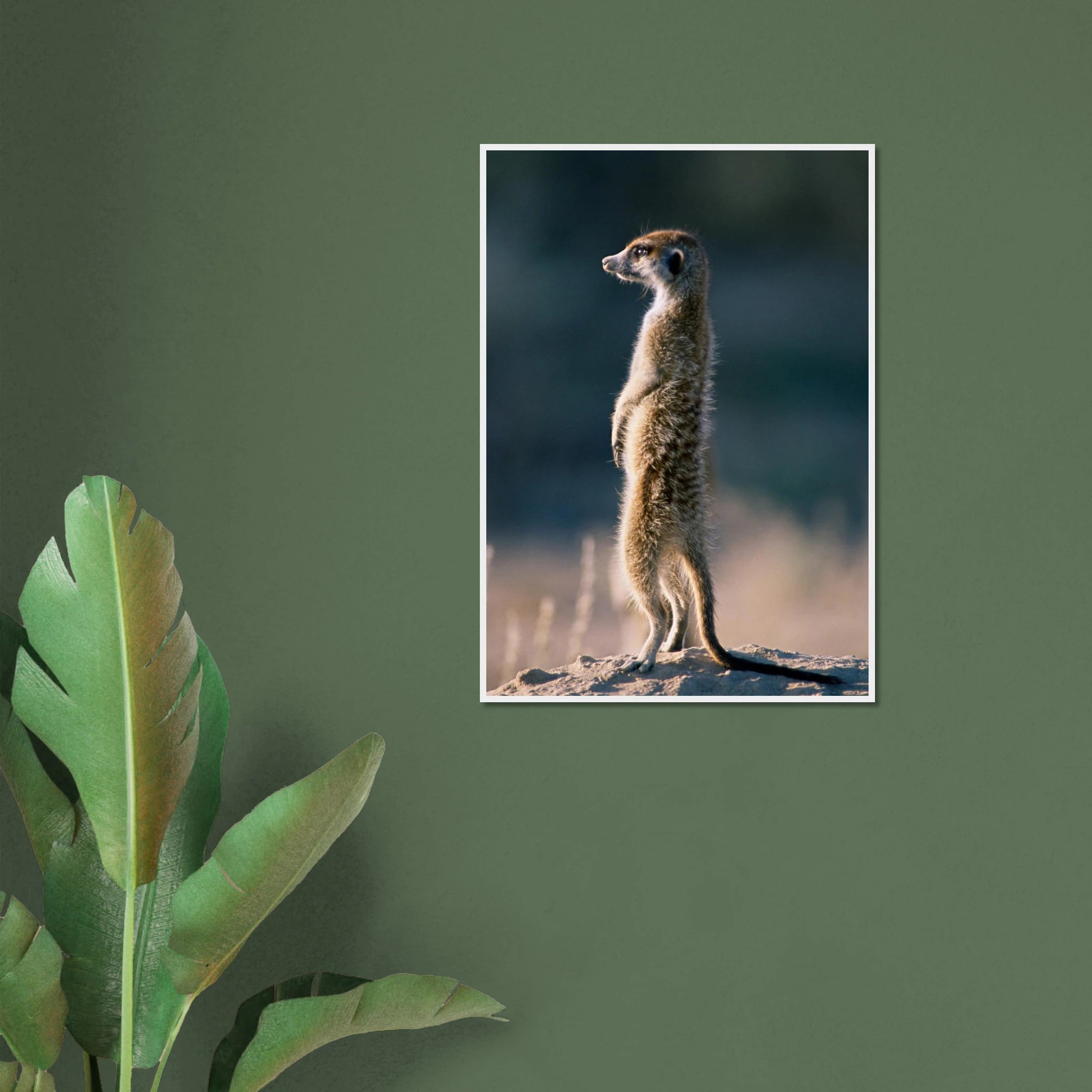 dd91943b-181b-4bea-bbad-2c6da89325c1