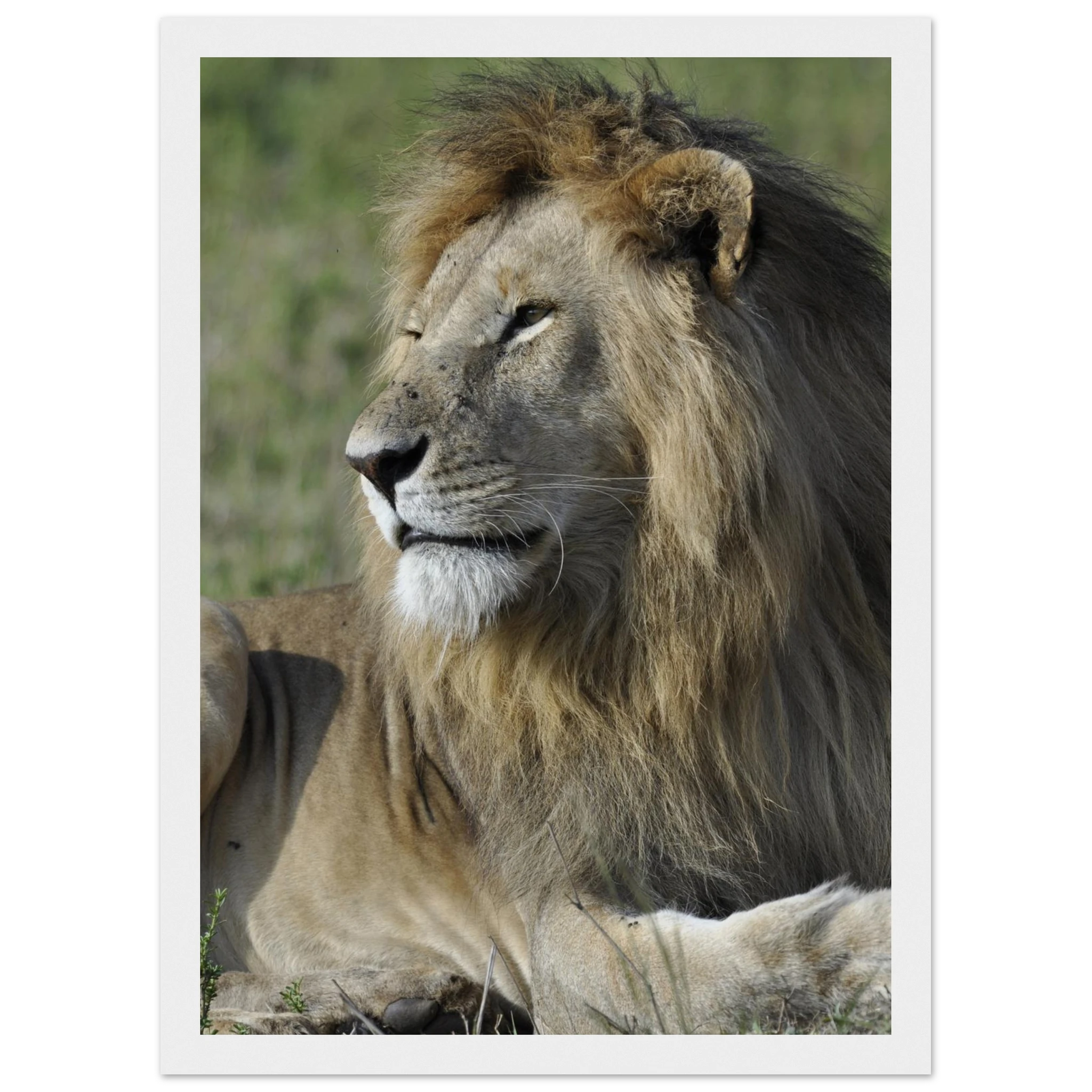 dd9f5ce5-100e-4e26-a340-e2329a11be92