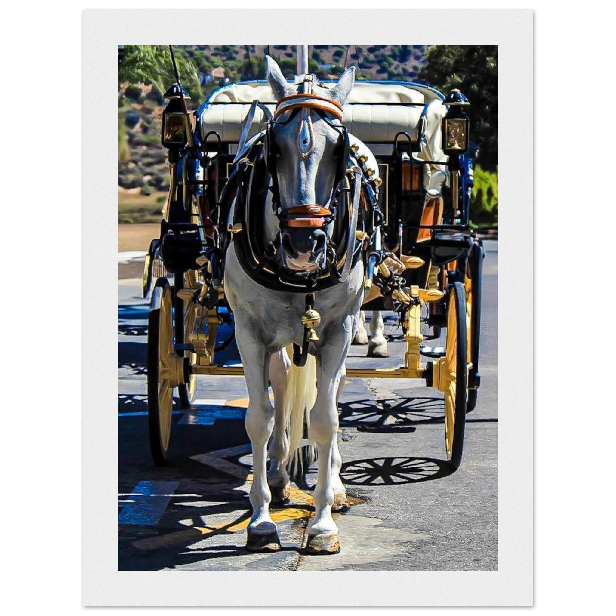 ddaca868-fa0f-405f-96e1-a93d447fe70d