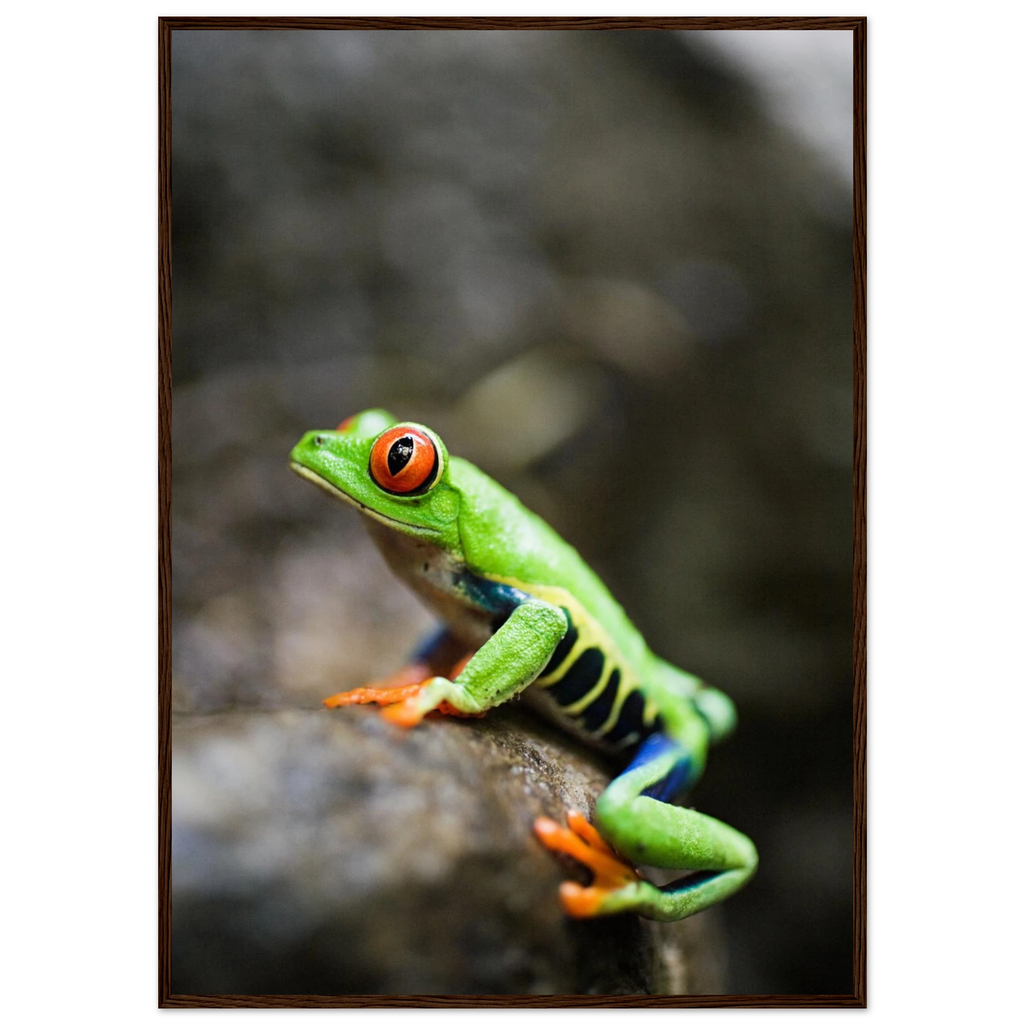 ddeb3118-cb8c-4ca0-9fd1-d49ff8458659