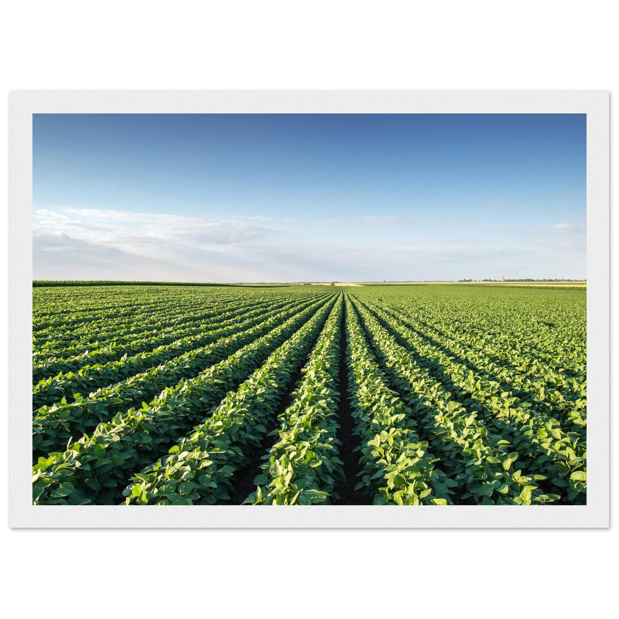 ddeb83bf-e3eb-497b-99a1-42a5f8c0e268