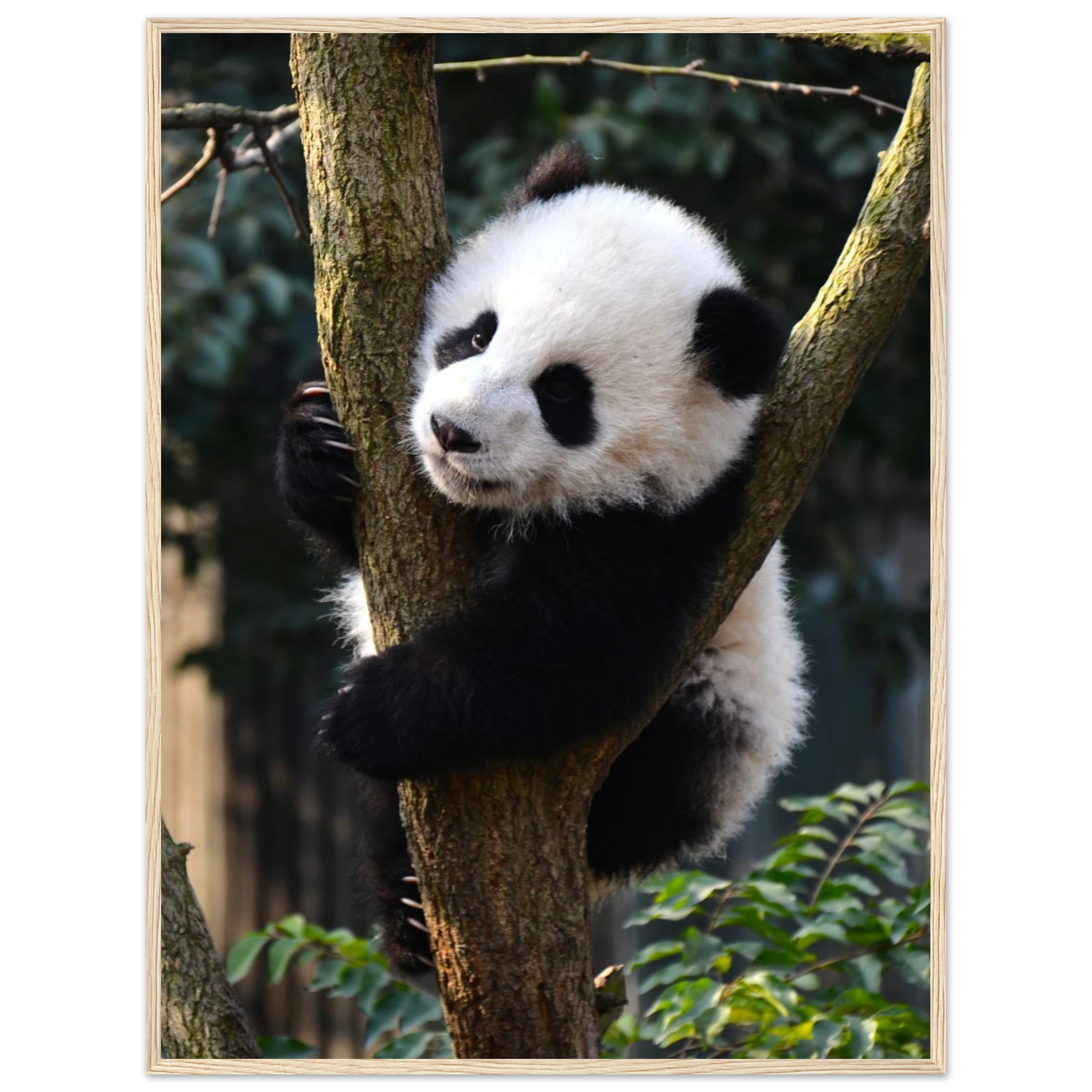 ddffd8e1-3b77-4784-81e2-b8bc8b0edc36