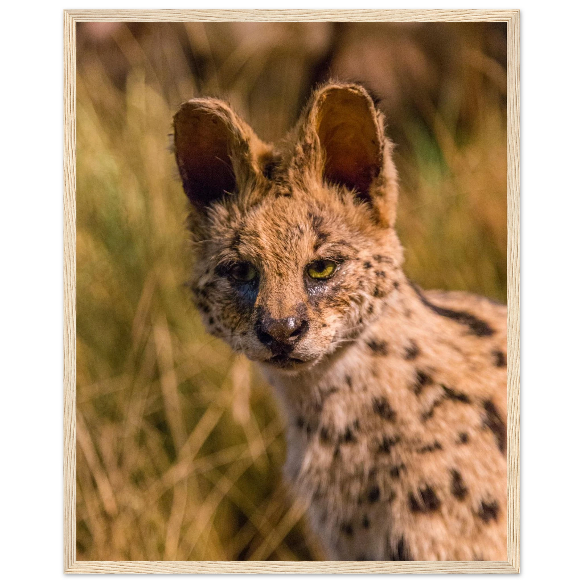 de0fc3e9-dc45-4146-abdb-0c5b15002ef5