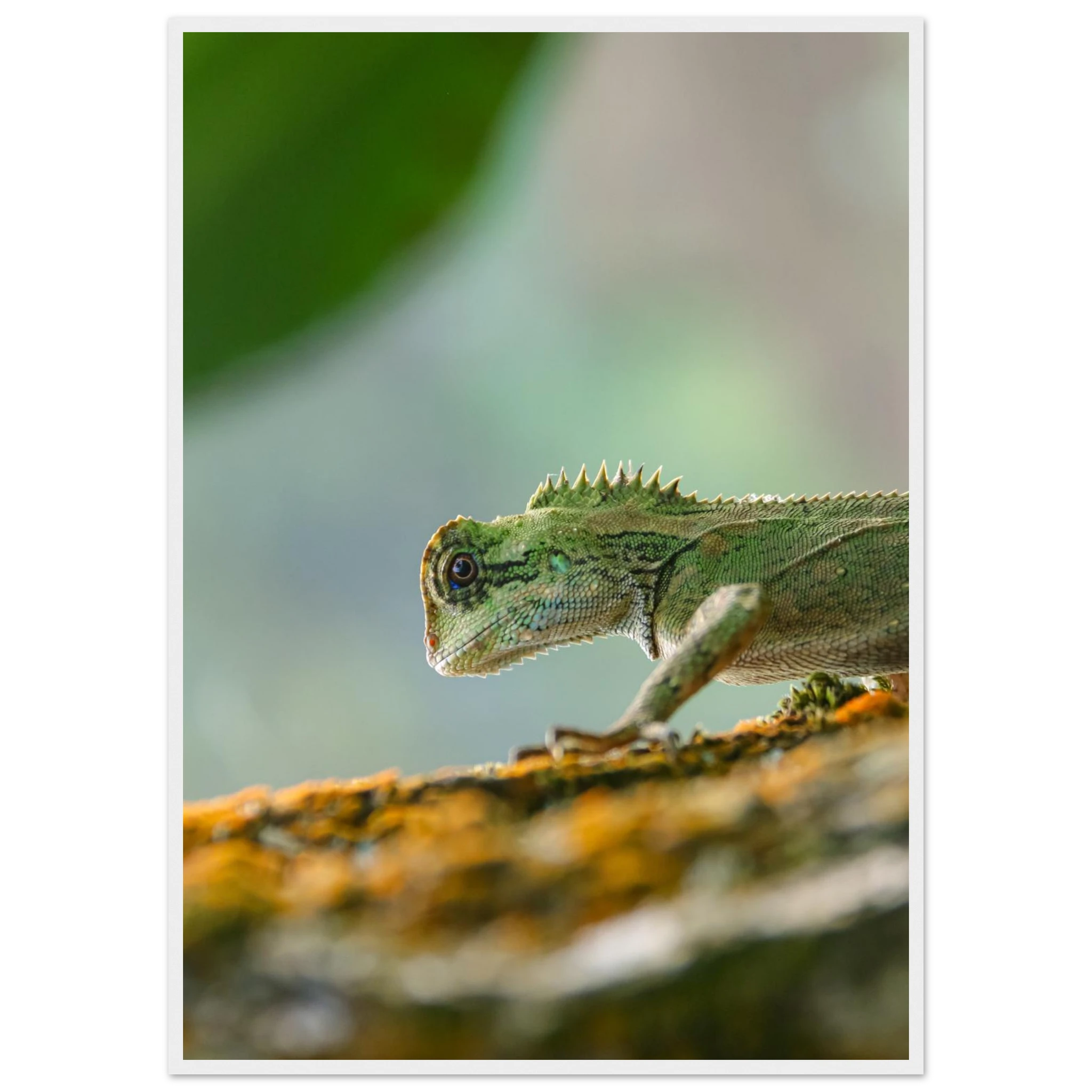 de1023e9-f59f-4070-801c-223ed37d8948