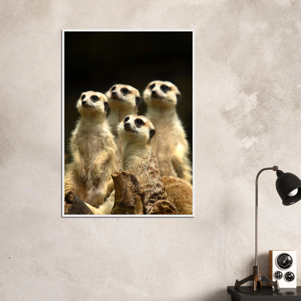 de2aa4d8-45c7-4143-af97-dcbb7765a75a