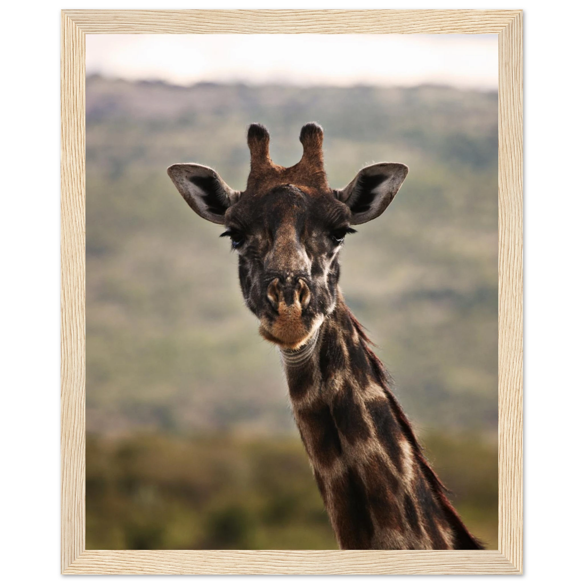 de3eb5b5-d2d4-4d0c-b32f-a7df219687e6