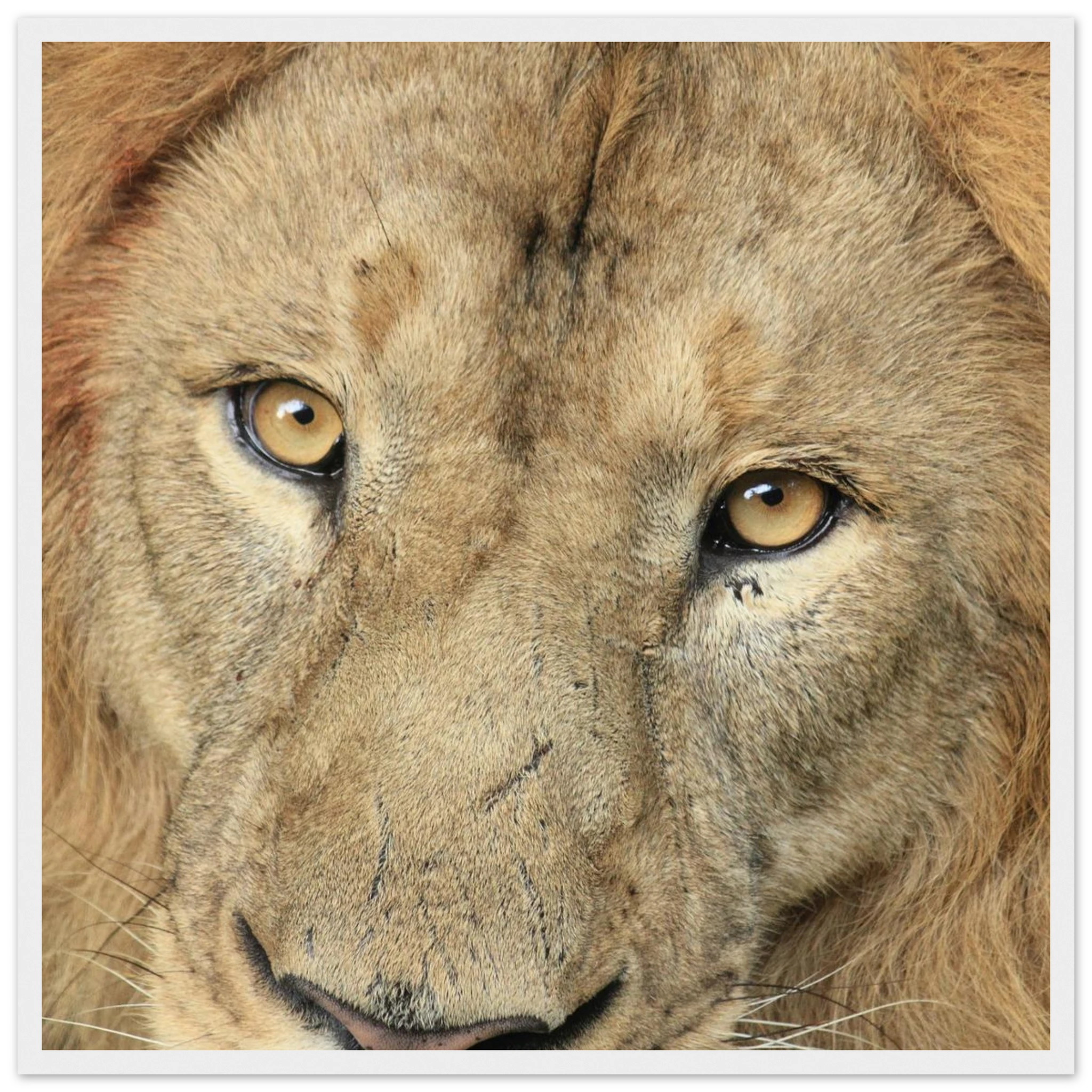 de409172-4294-4215-adc1-875db51a14bc