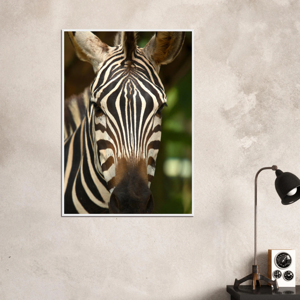 de5640ce-e9d1-491c-b81d-bfac04747750