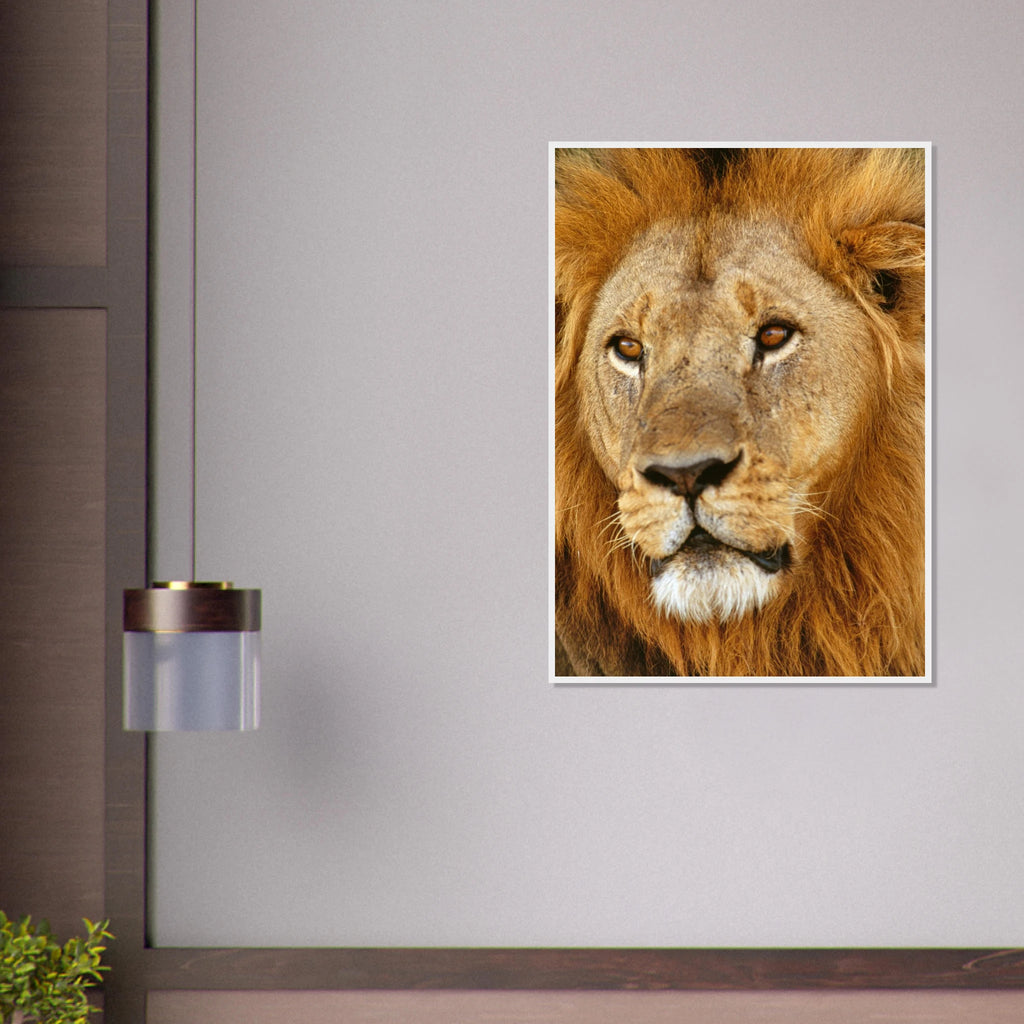 de573f7b-0dc6-4665-8f6a-ad457f650fc6