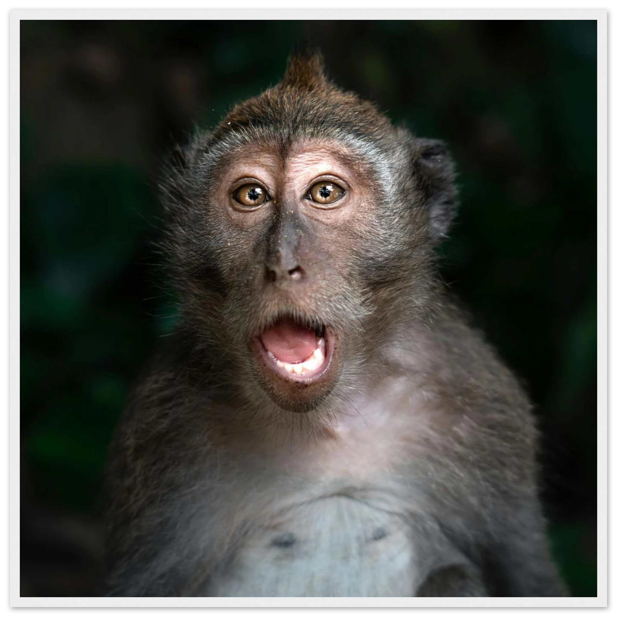 de6630bd-1e7b-4ac1-ae93-1a91597ed386