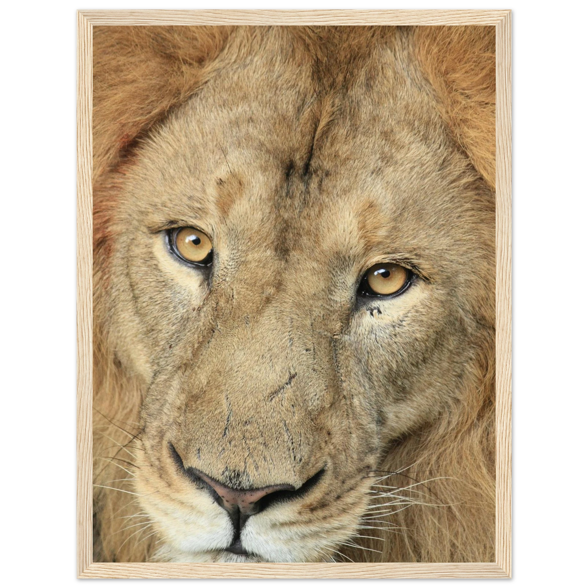 de68f5f2-9c29-48a6-8efd-953e5e00860e