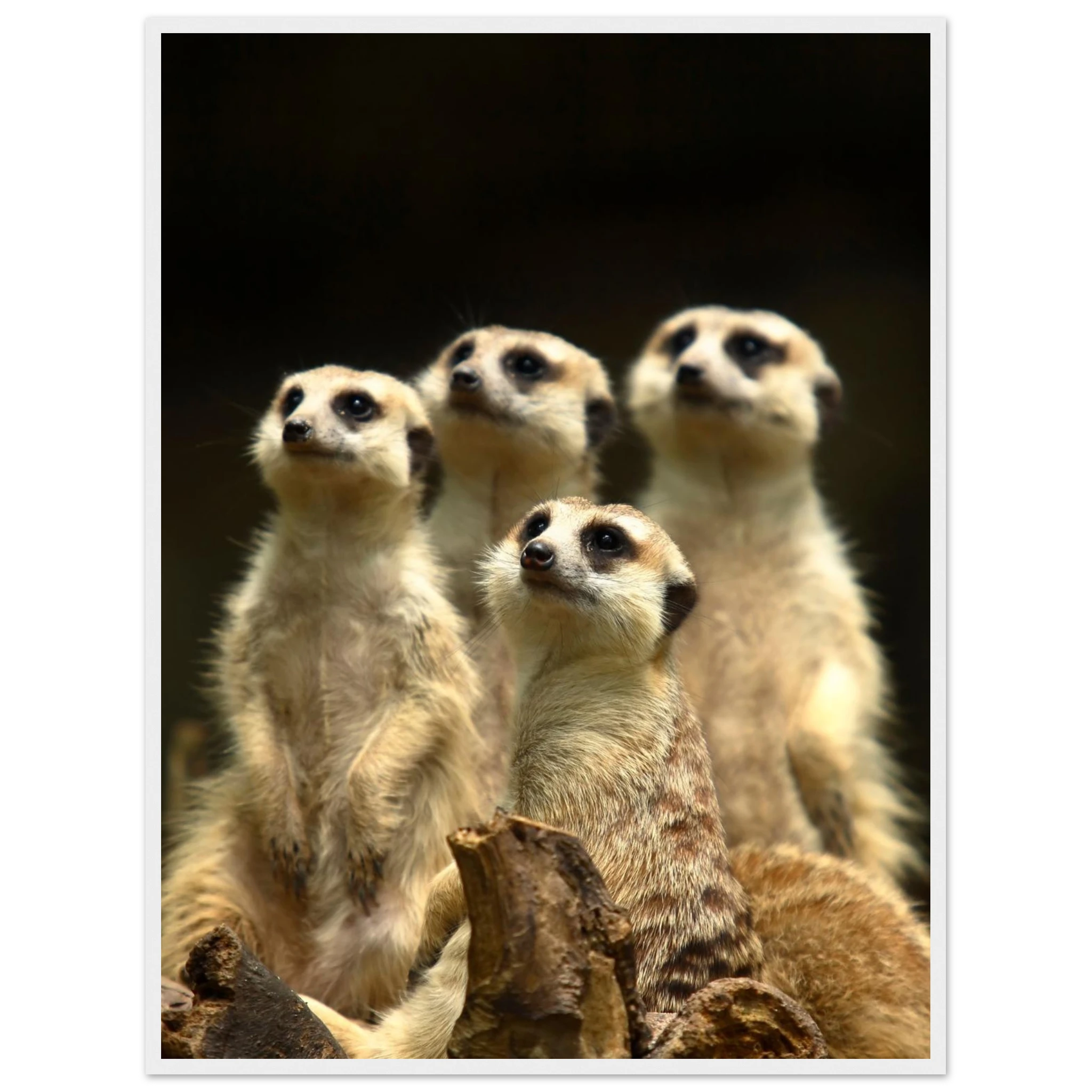 de6a25f4-a1df-4553-a7fa-d38745ca2ef7