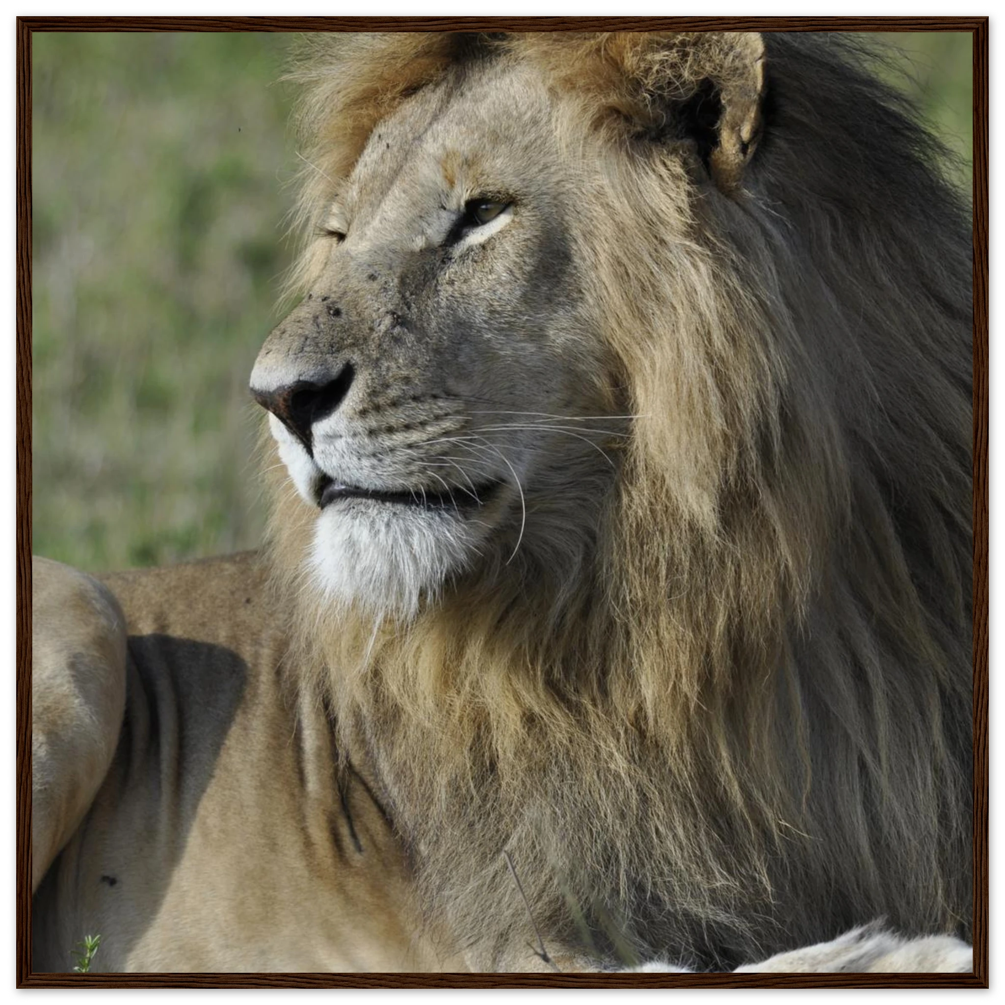 de85fe3f-f77f-4b1e-8cd6-4db1ad3cde93