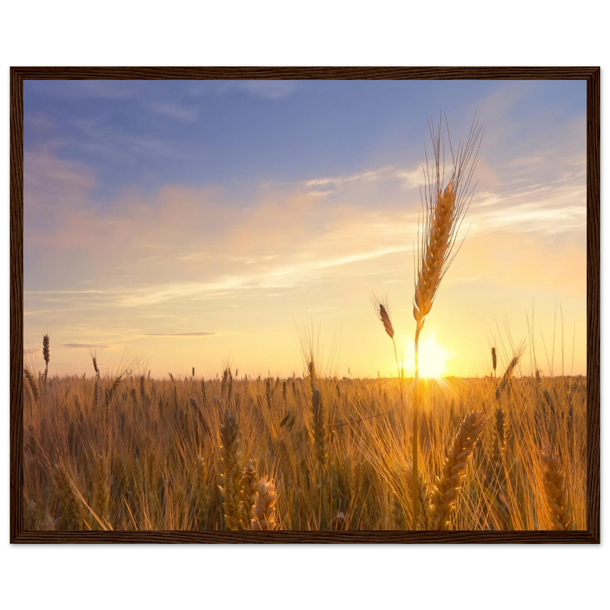 de914d3f-80d8-43da-8df6-cce9722a3f55