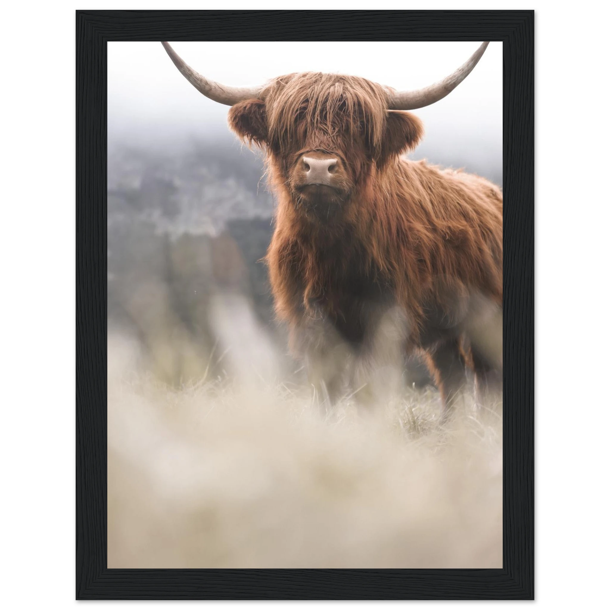 deae87f6-ffa2-4d26-a775-f5ccd0ebca83