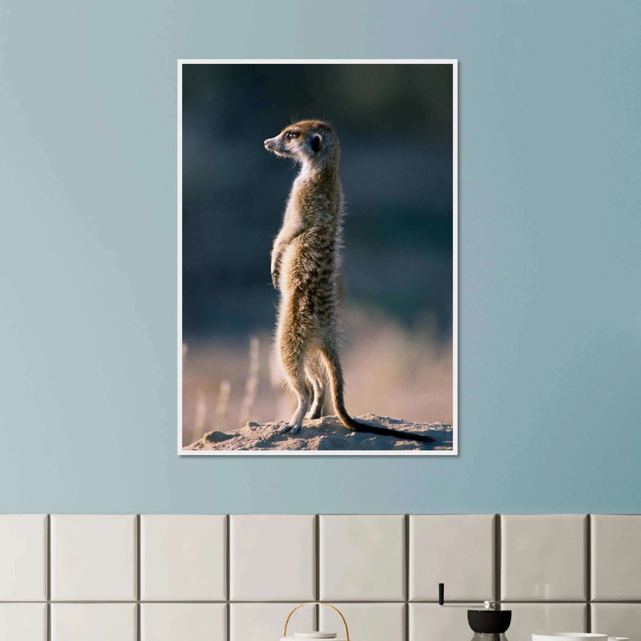 deb2a8de-887a-4569-93ca-c9450689c53c