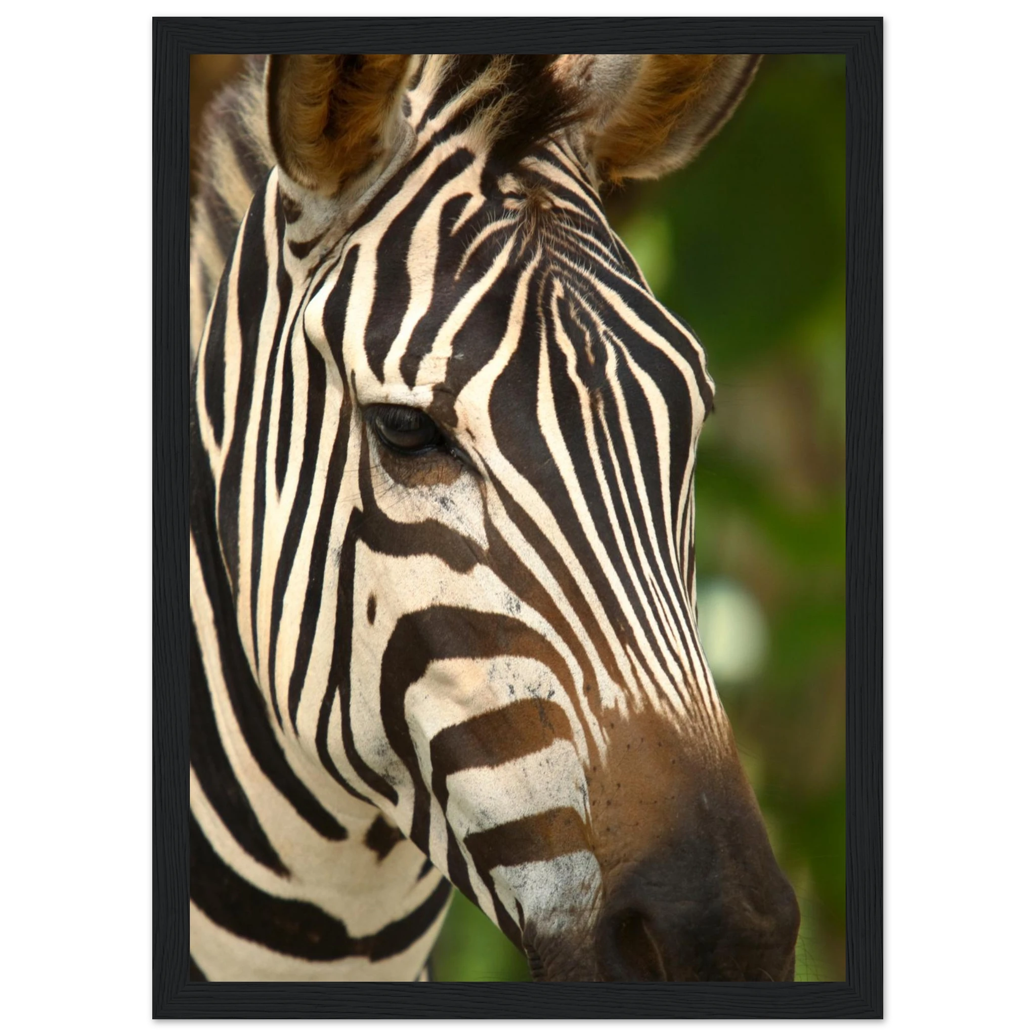 debfc304-7326-4049-ad16-dfc7fd00b6f3